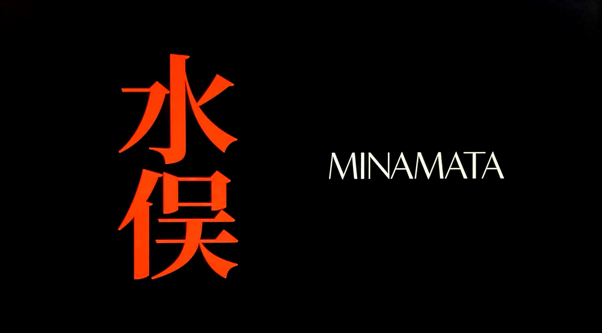 MINAMATA ミナマタ