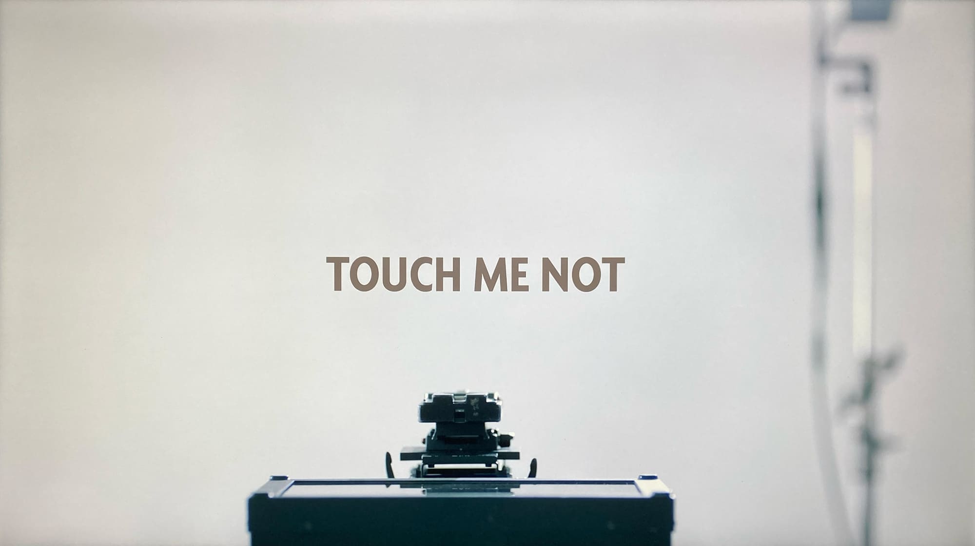 タッチ・ミー・ノット ローラと秘密のカウンセリング Touch Me Not