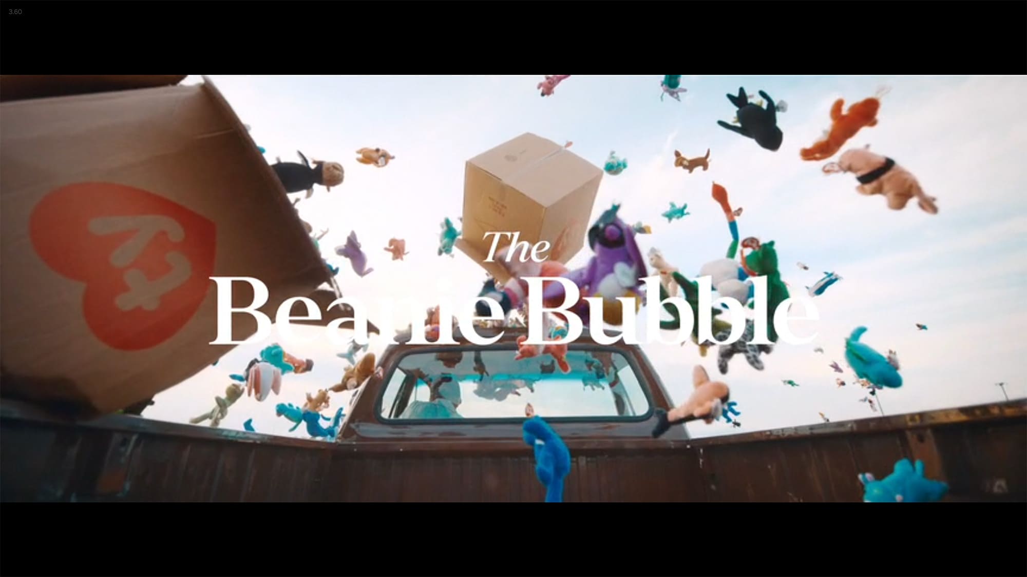 ビーニー・バブル The Beanie Bubble