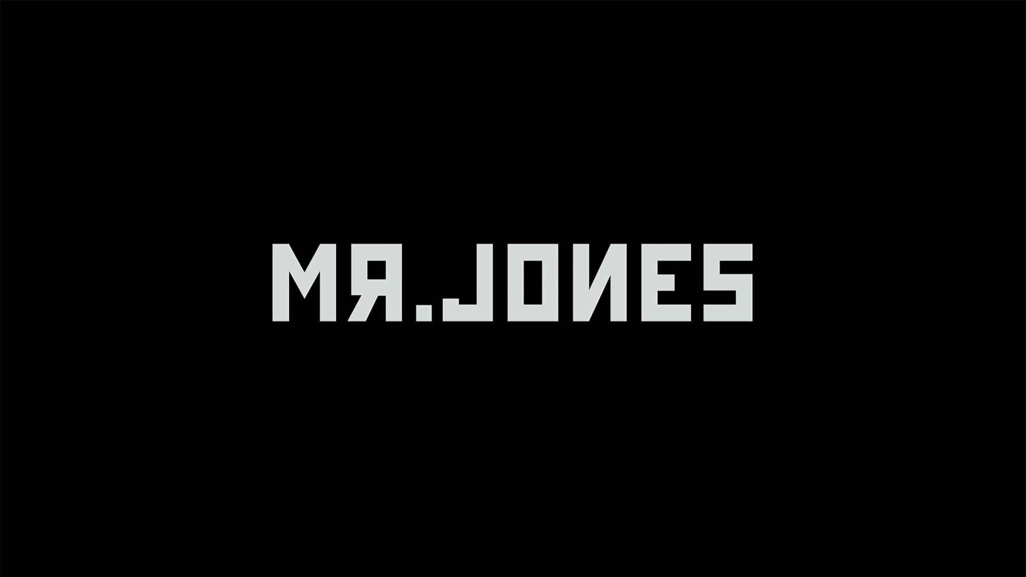 赤い闇 スターリンの冷たい大地で Mr. Jones