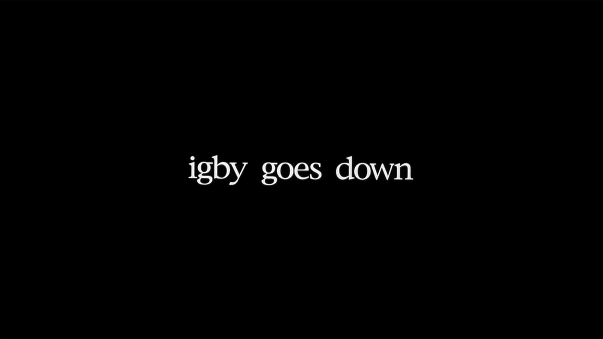 17歳の処方箋 Igby Goes Down