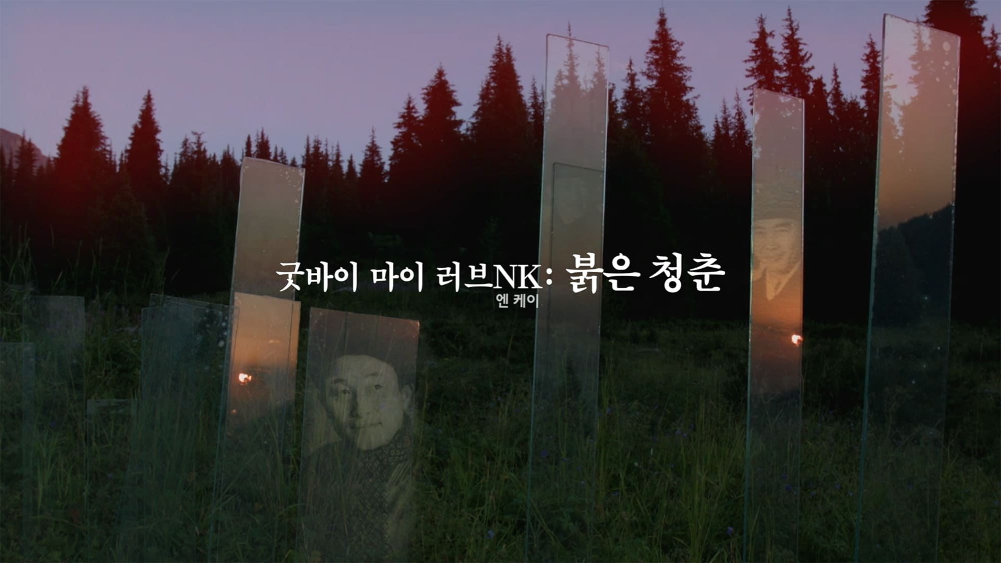 さらばわが愛、北朝鮮 굿바이 마이 러브NK: 붉은 청춘 Goodbye My Love, North Korea