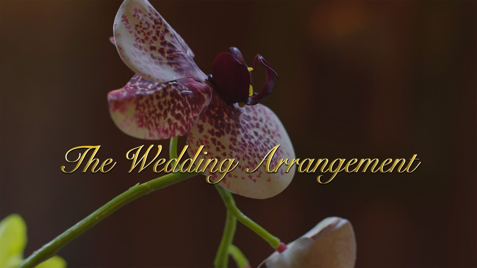 ウェディング・アレンジメント 愛の開花 The Wedding Arrangement