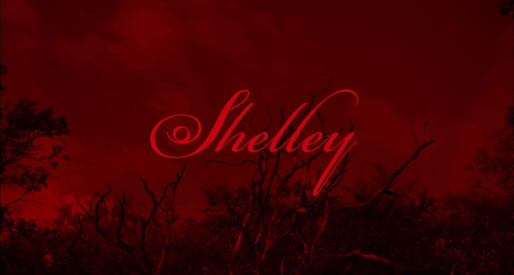 マザーズ Shelley