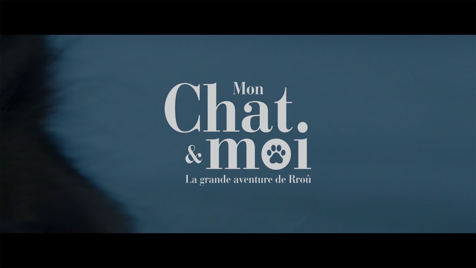 ルー、パリで生まれた猫 Mon Chat et Moi, La Grande Aventure de Rrou