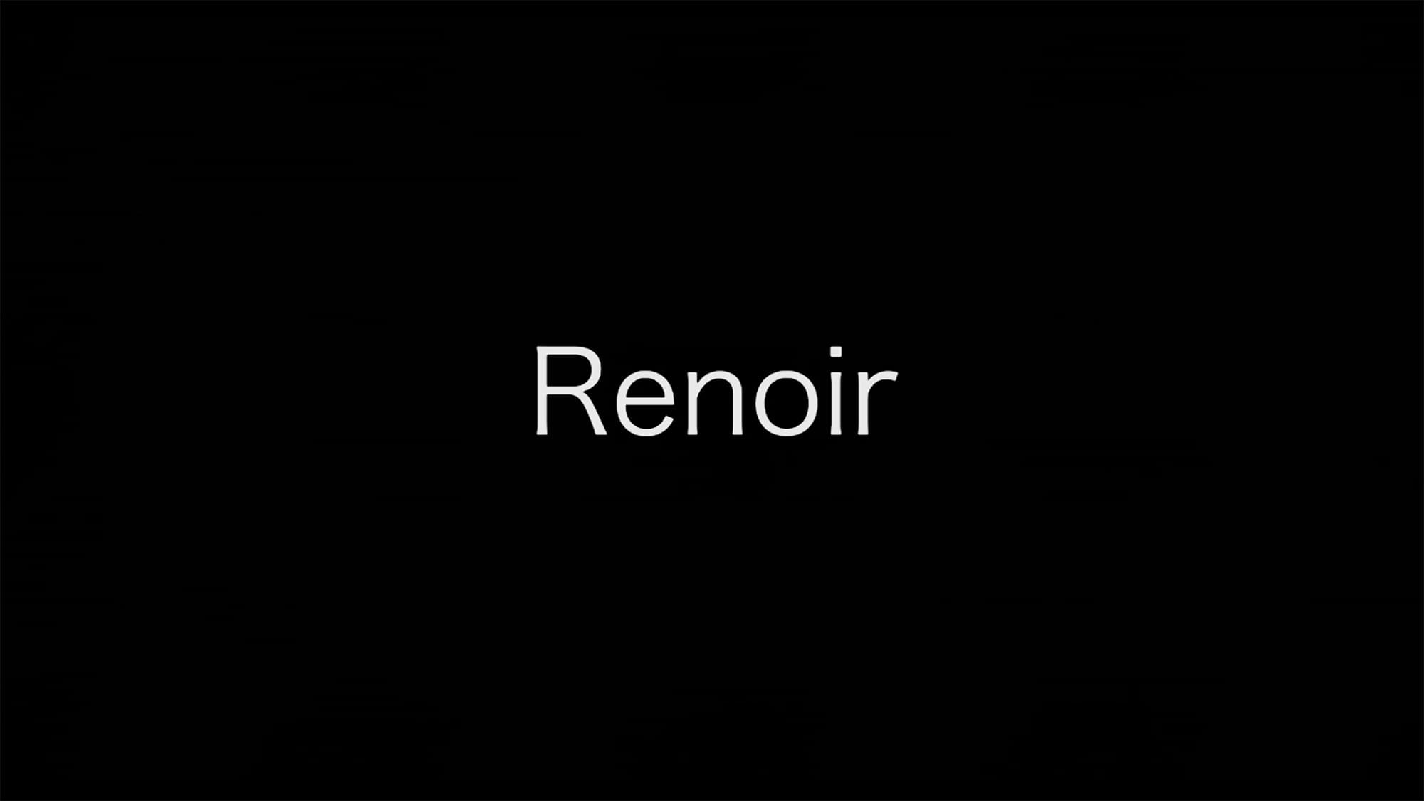 ルノワール 陽だまりの裸婦 Renoir