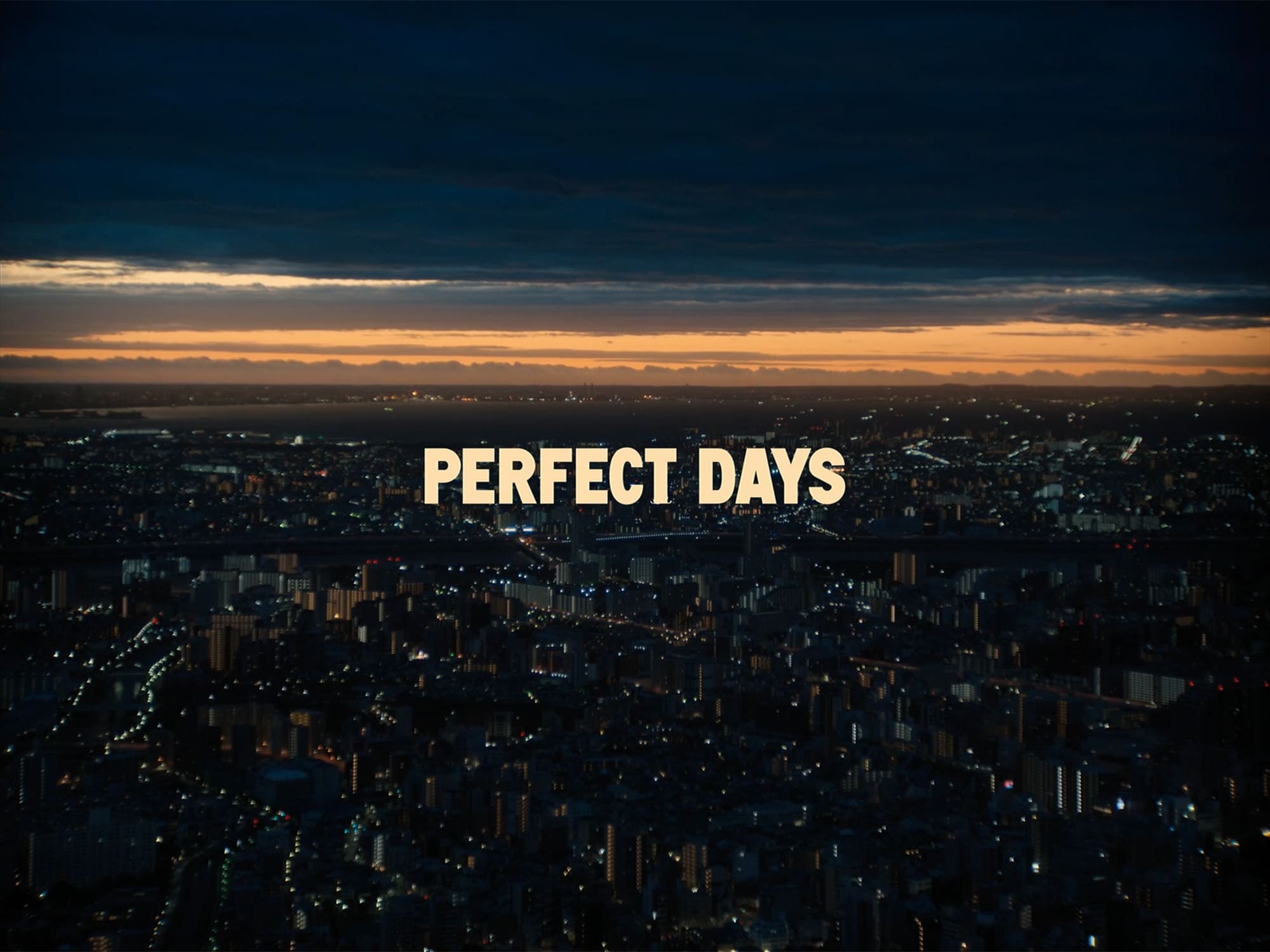 PERFECT DAYS