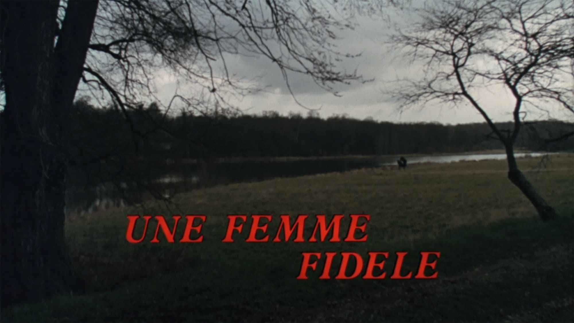 華麗な関係 Une Femme Fidele