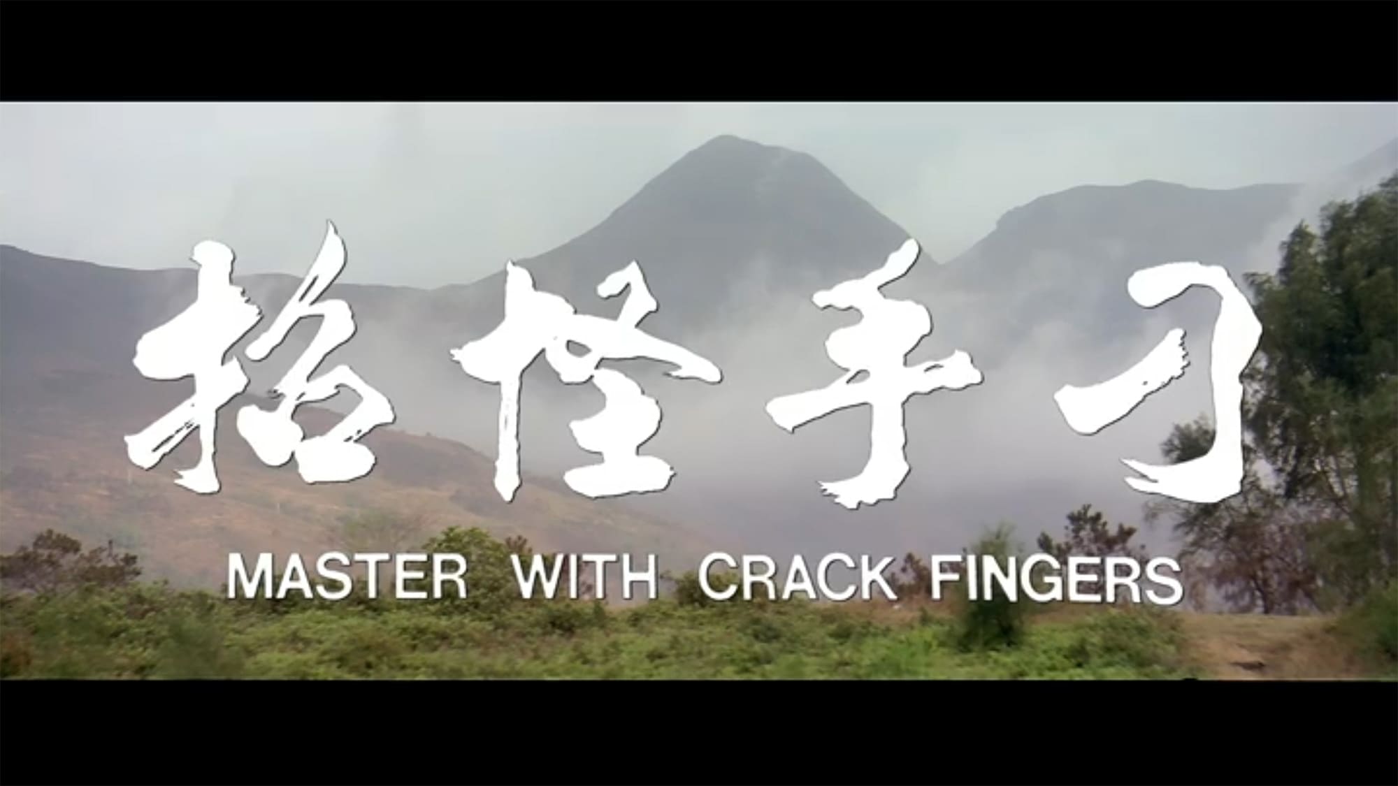 ジャッキ－・チェンの必殺鉄指拳 刀手怪招 Master with Crack Fingers