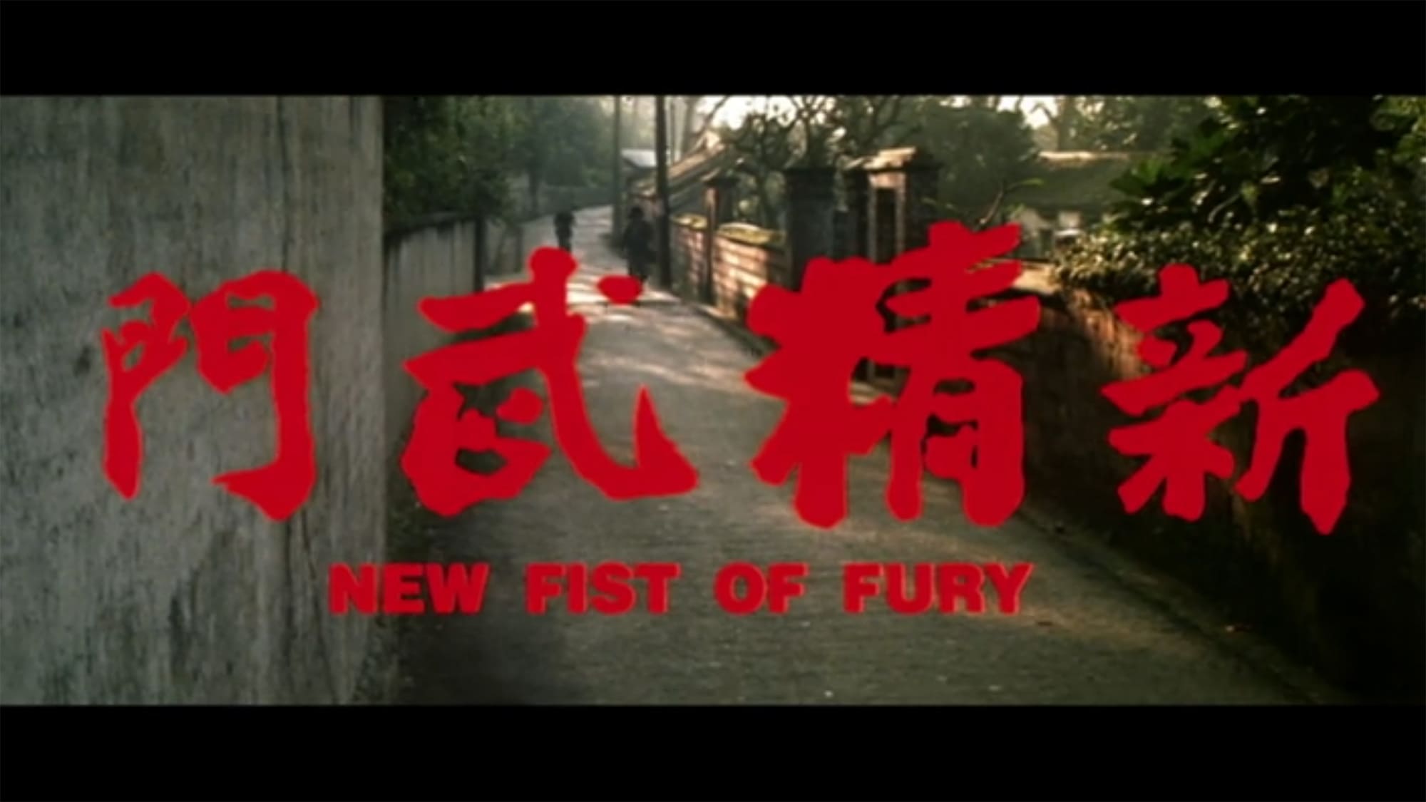 レッド・ドラゴン 新・怒りの鉄拳 新精武門 New Fists of Fury