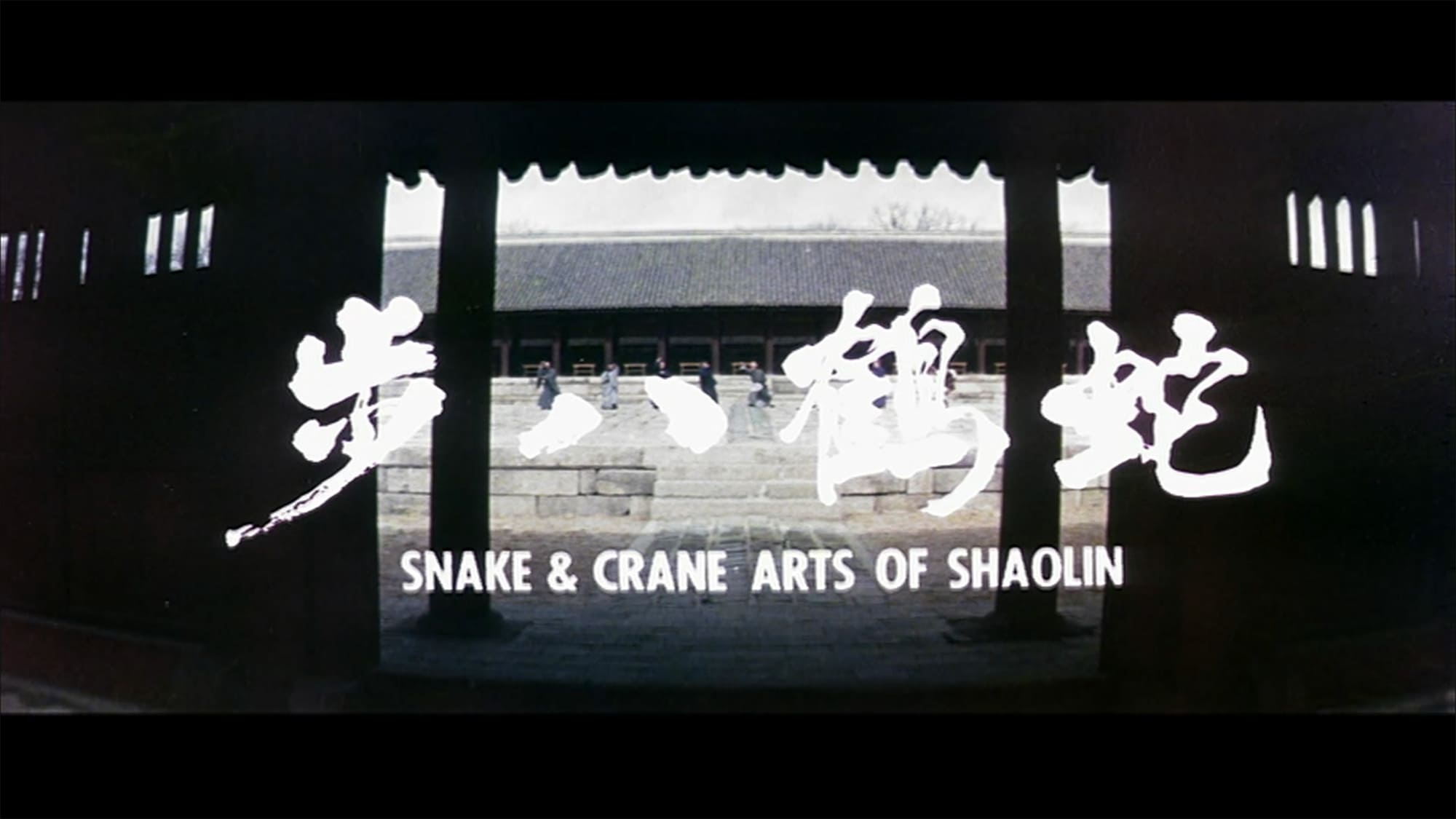 蛇鶴八拳 蛇鶴八歩 Snake & Crane Arts Of Shaolin