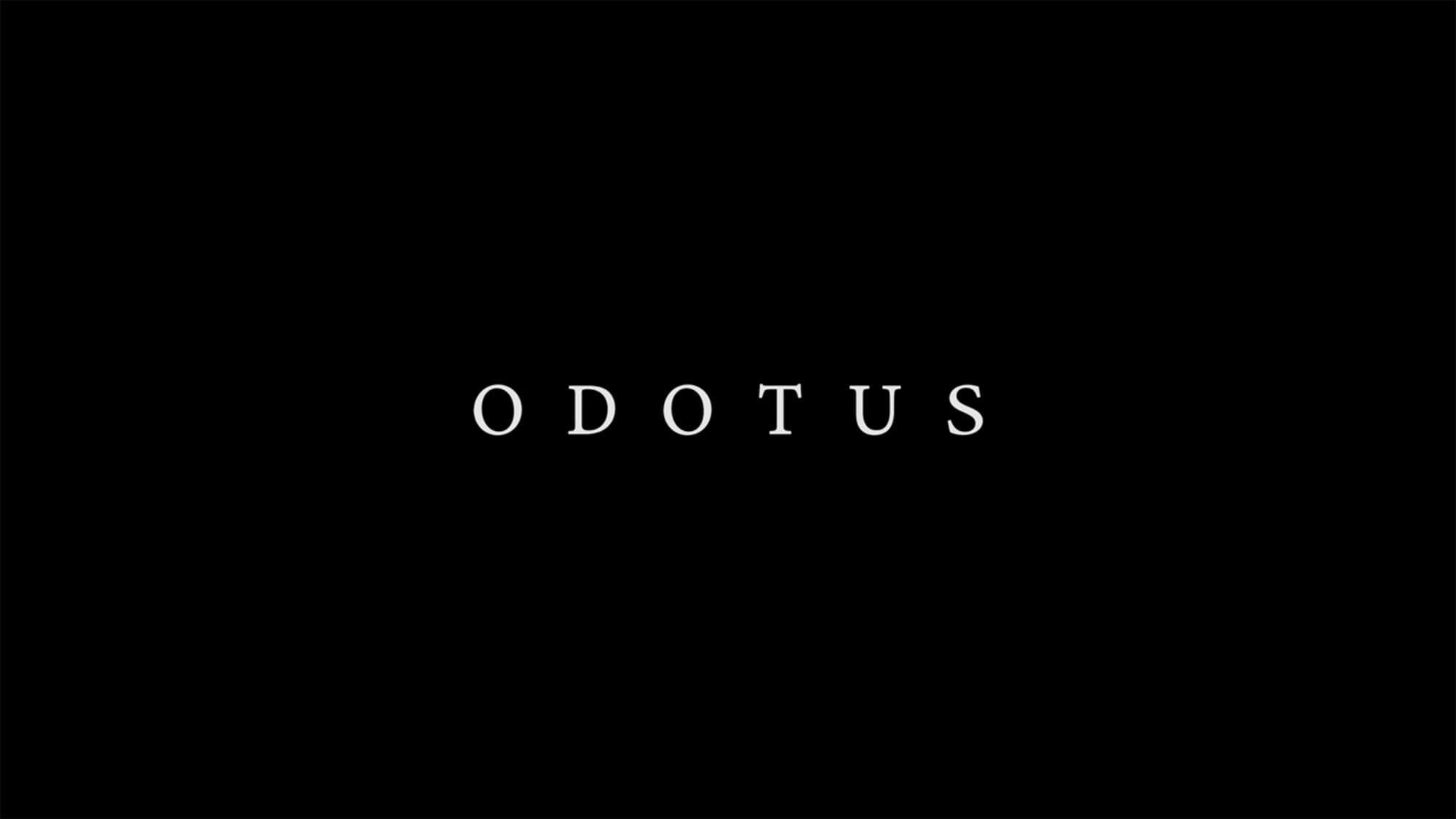 満たされたい人妻 Odotus