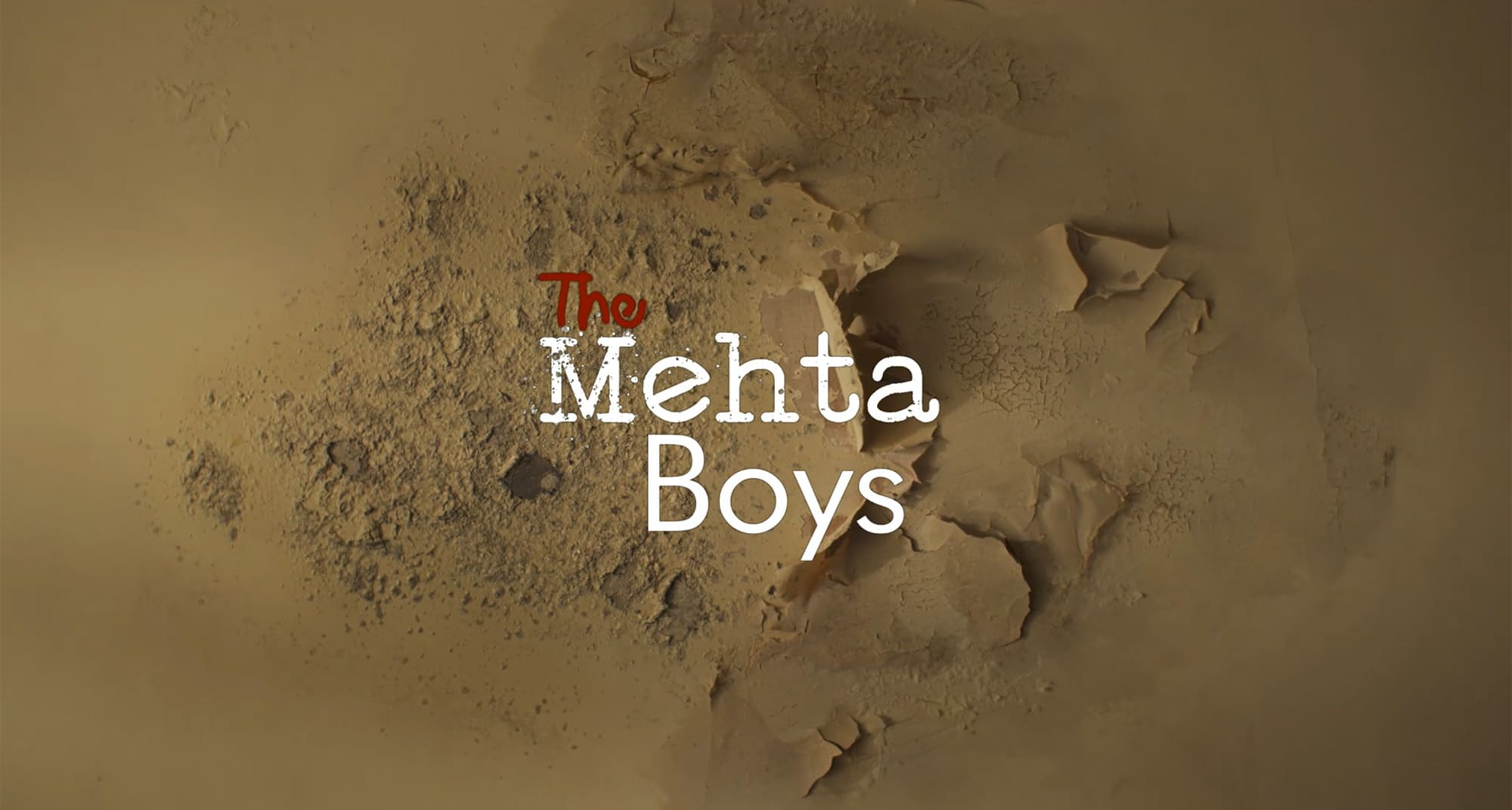 メータ・ボーイズ 父と息子の48時間 The Mehta Boys