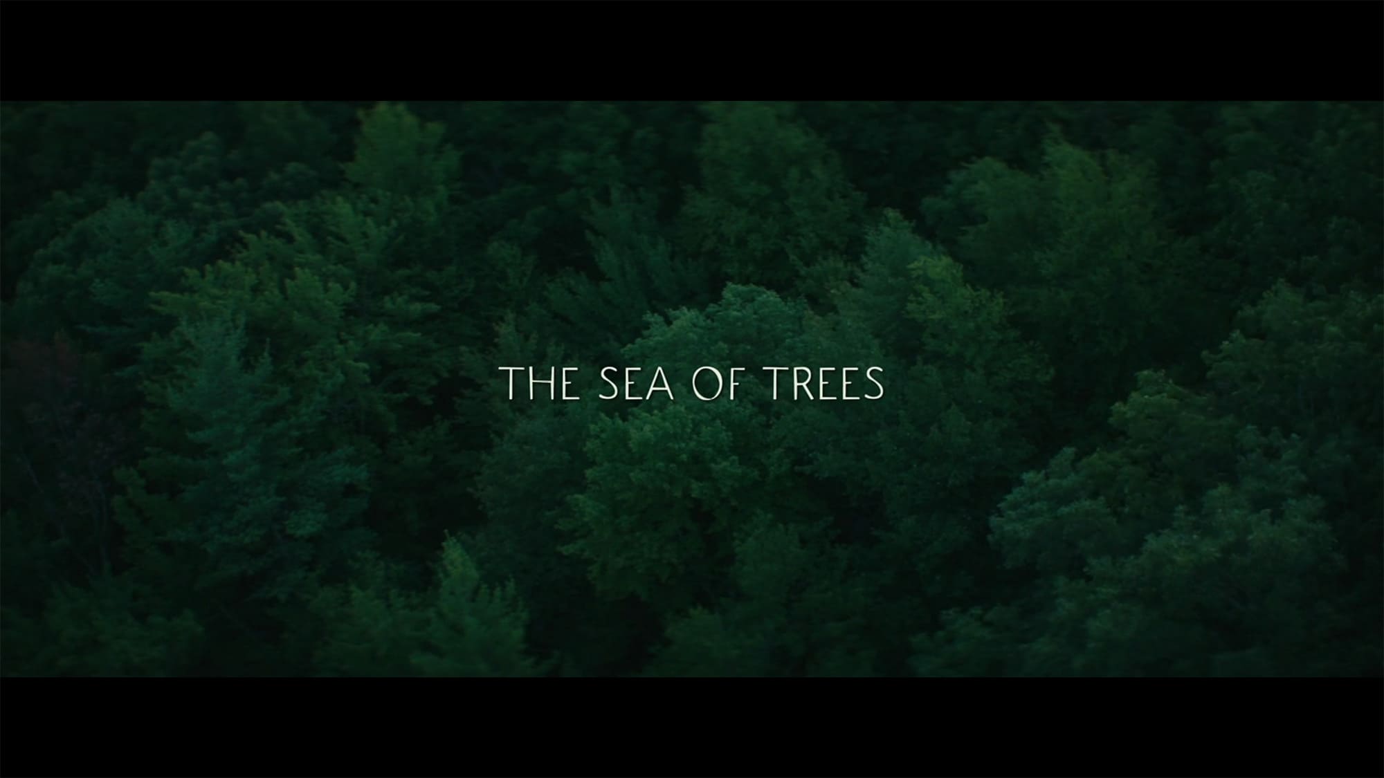 追憶の森 The Sea of Trees