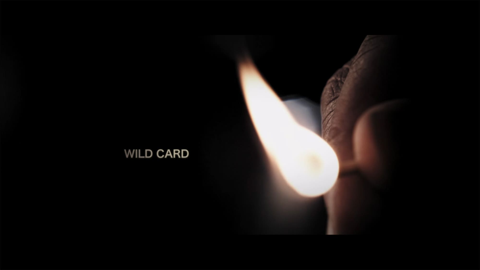 ワイルドカード Wild Card