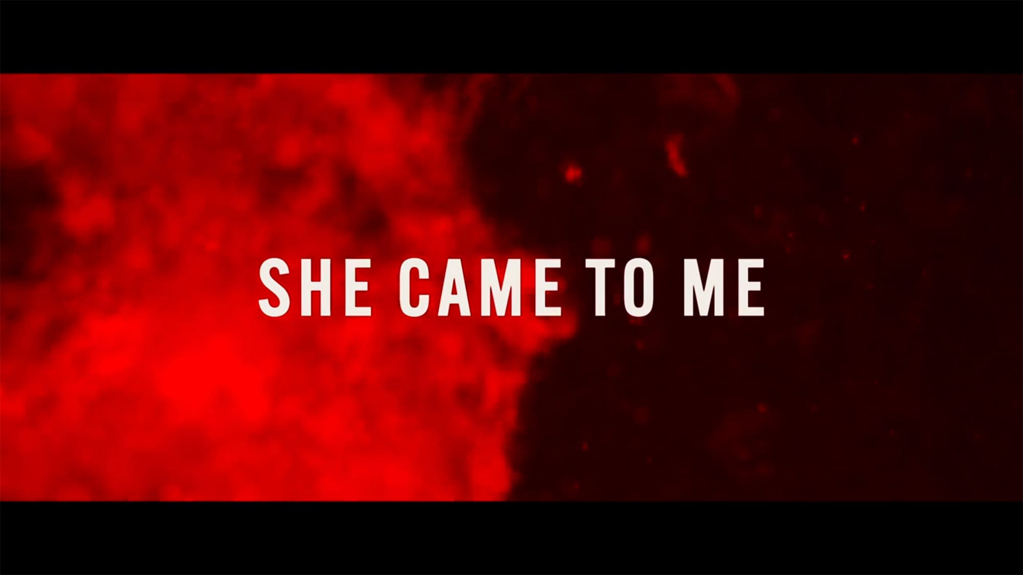 ブルックリンでオペラを She Came to Me