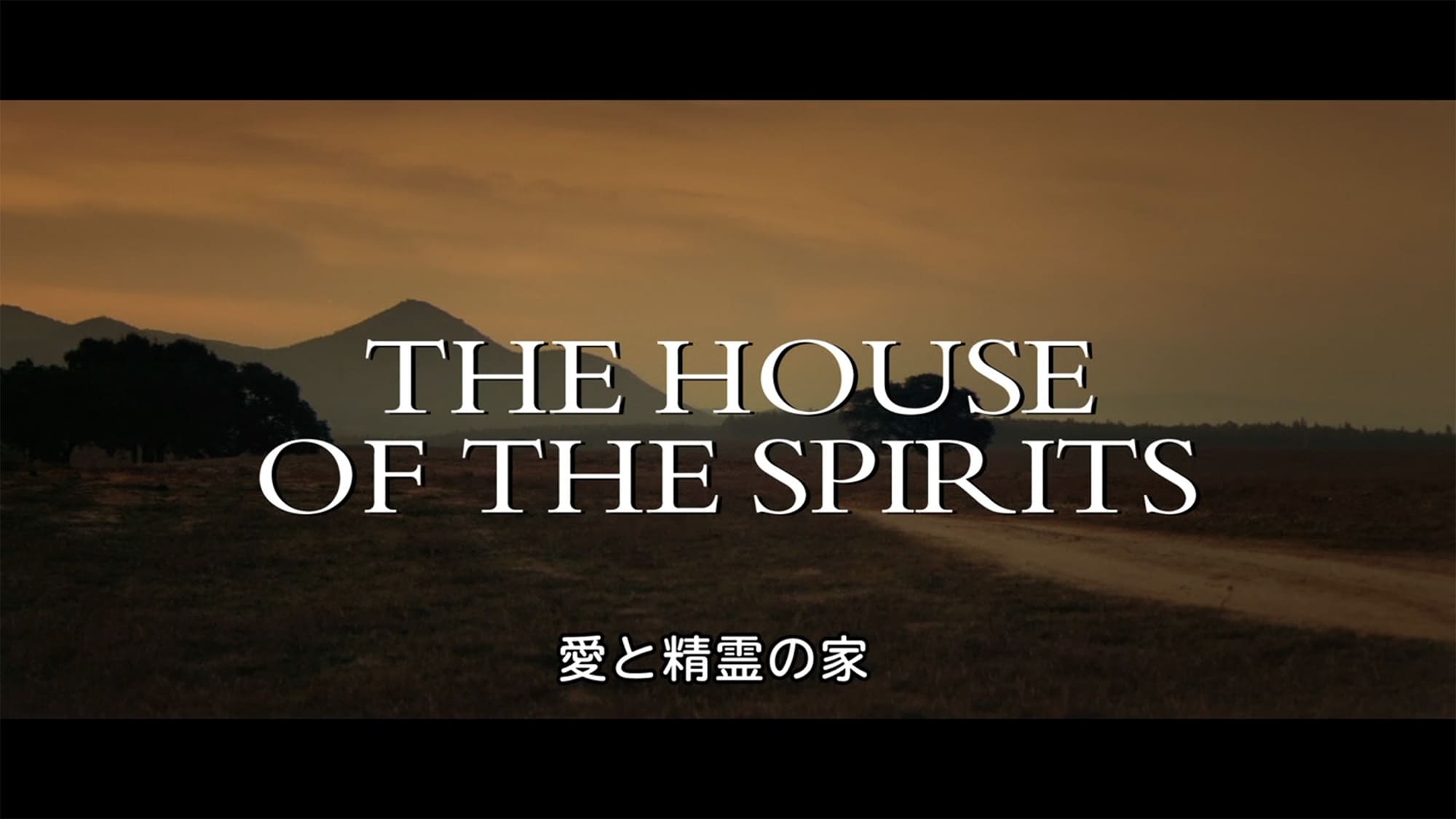 愛と精霊の家 The House of The Spirits