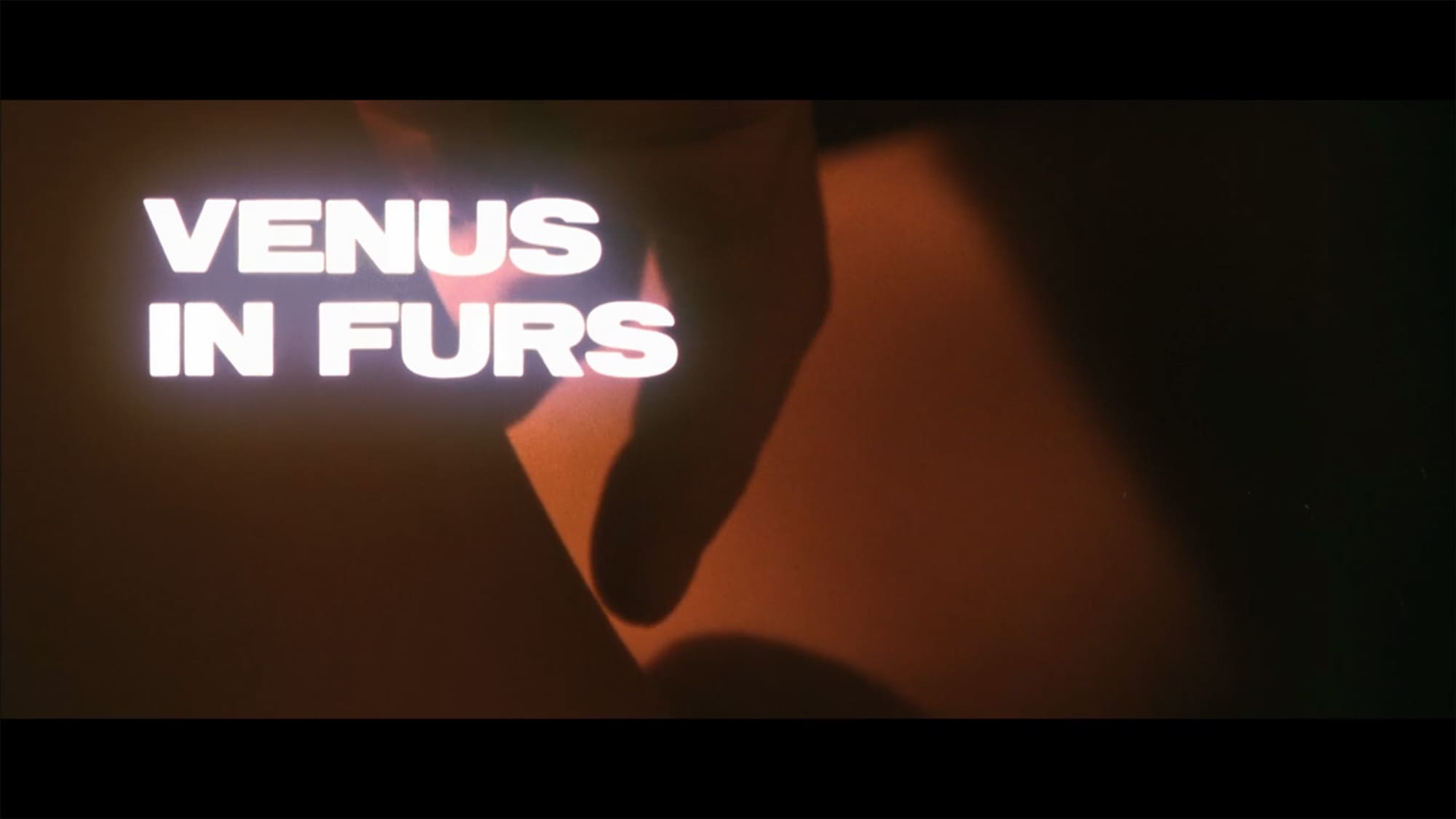 毛皮のビーナス Venus in Furs