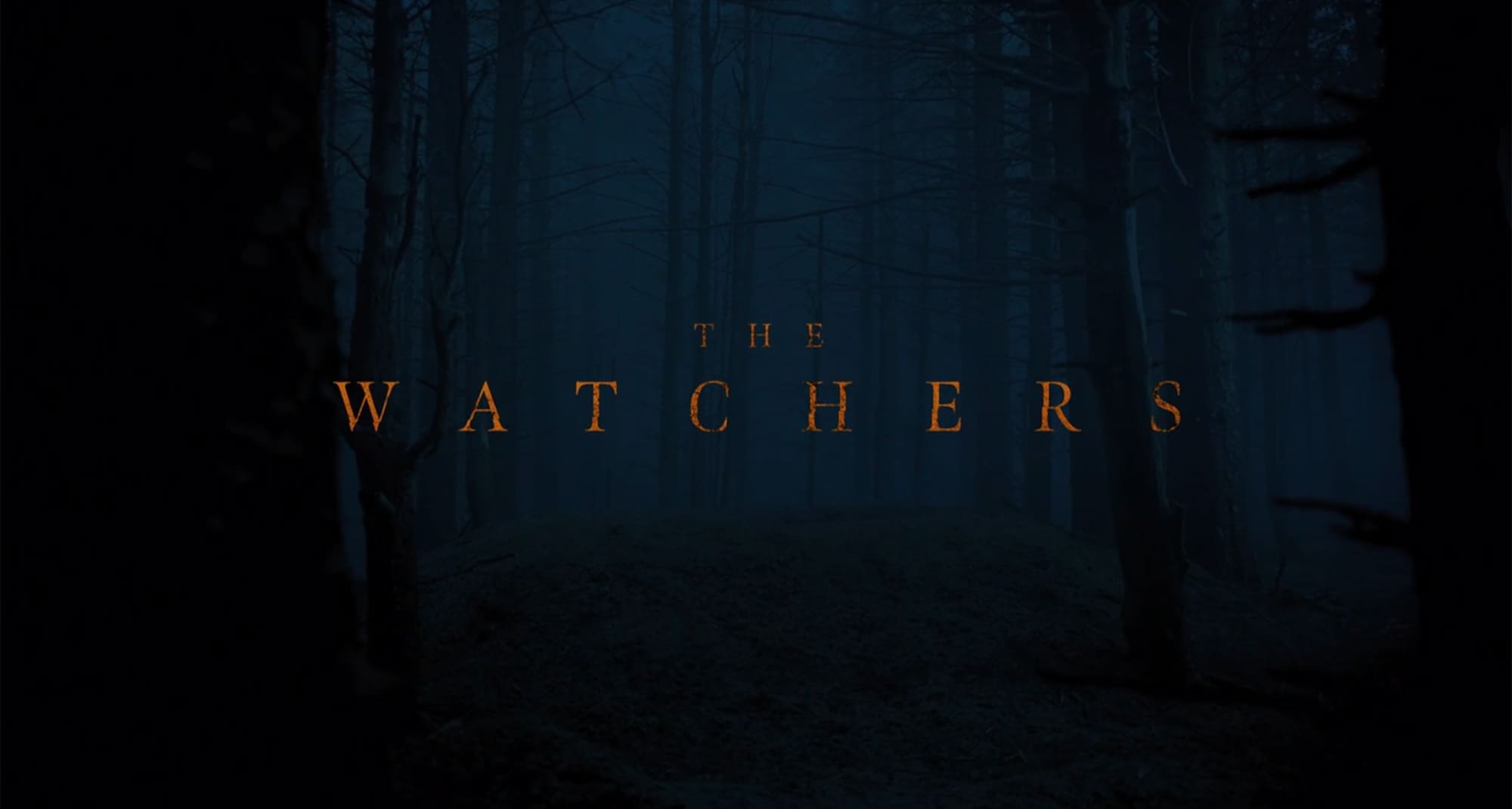 ザ・ウォッチャーズ The Watchers