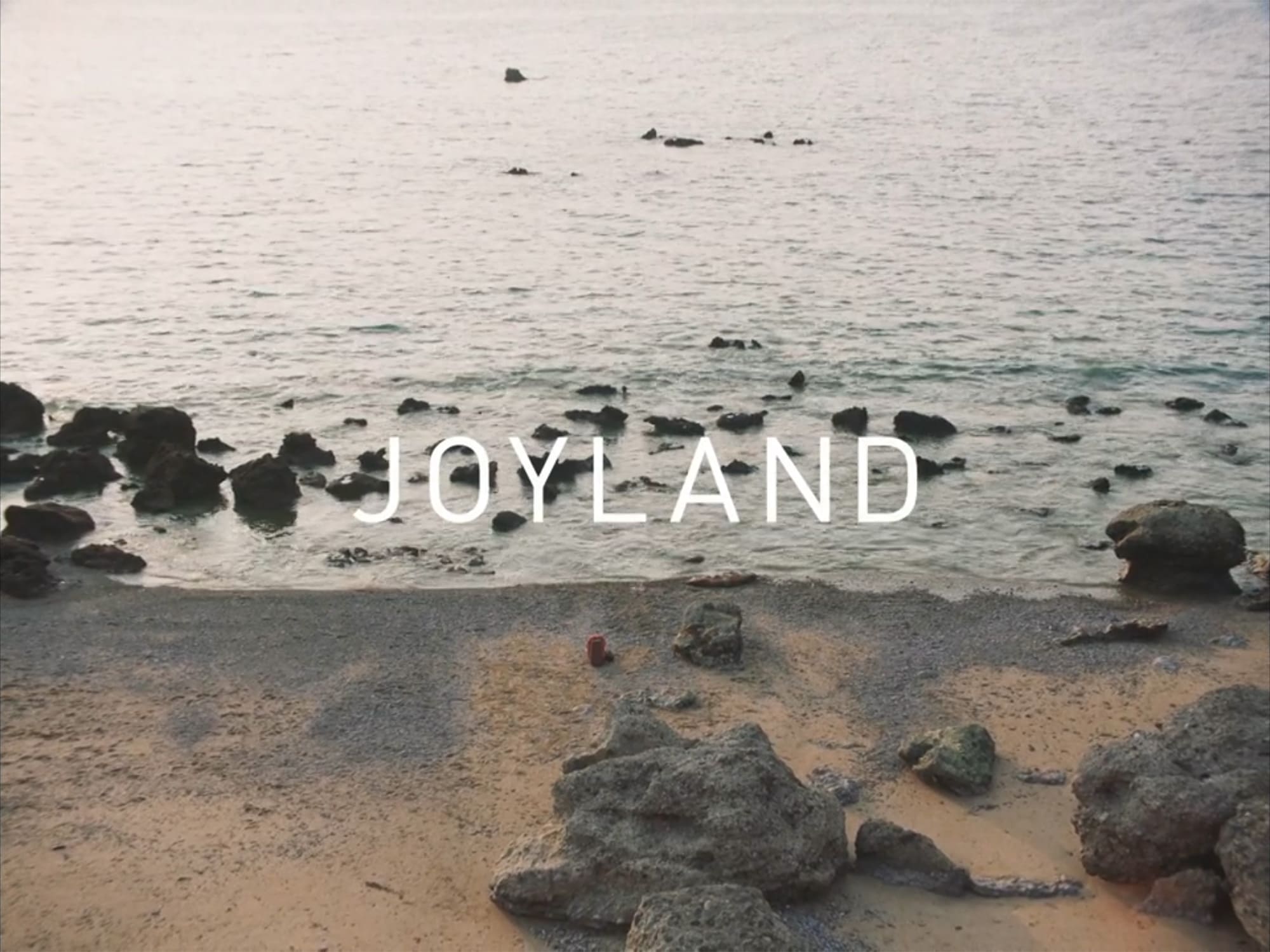 ジョイランド わたしの願い Joyland