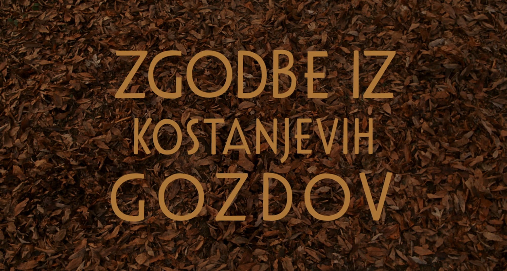 栗の森のものがたり Zgodbe Iz Kostanjevih Gozdov