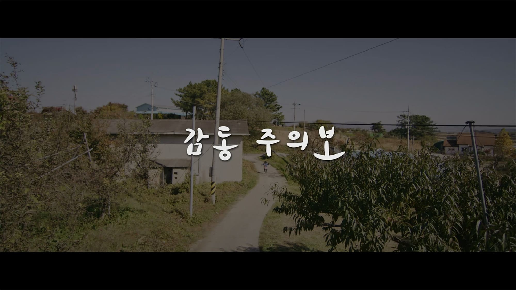 感動注意報 감동주의보 Move to Mind
