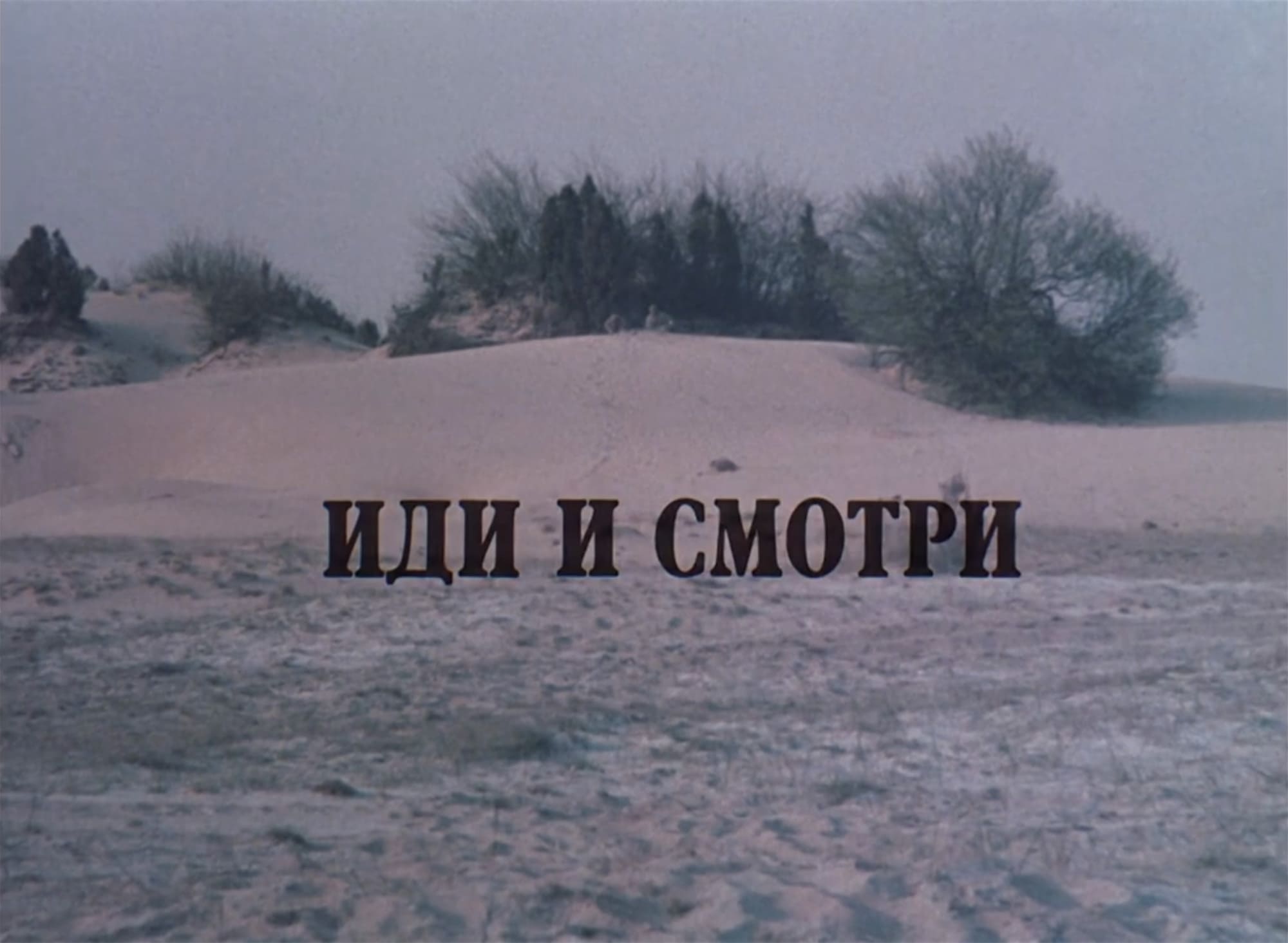 炎628 Иди и смотри Come and See