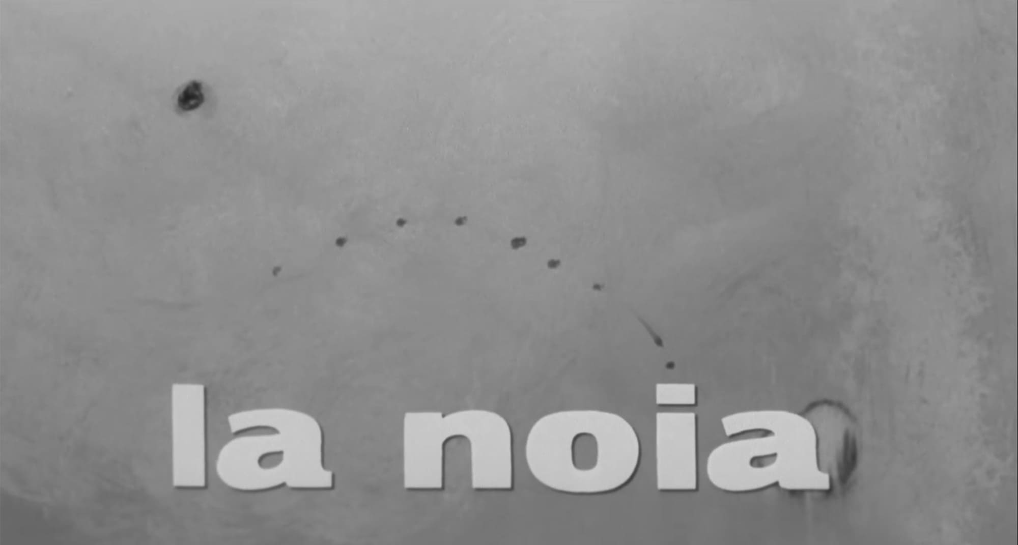 禁じられた抱擁 La Noia
