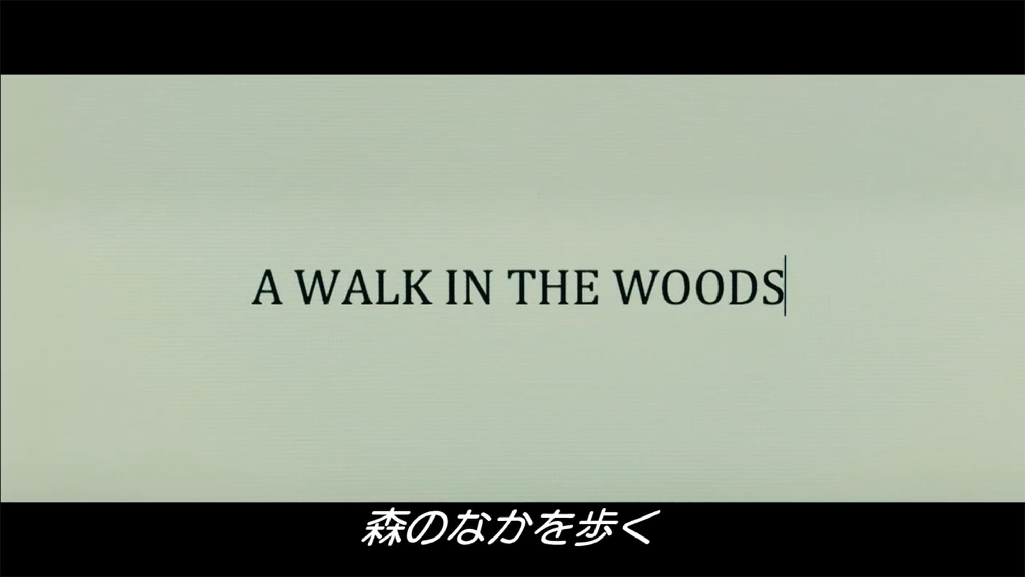 ロング・トレイル! A Walk in the Woods