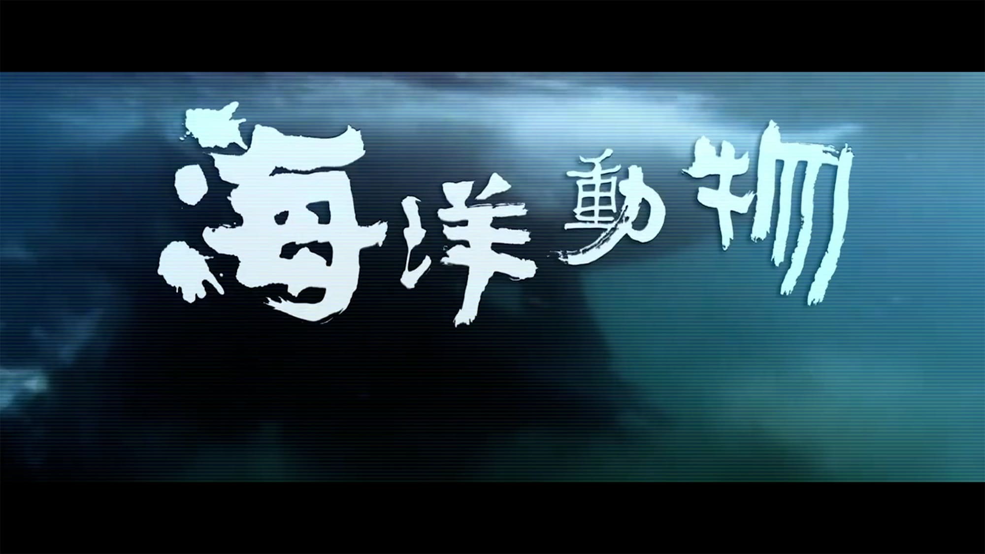 海街奇譚 海洋動物 In Search of Echo