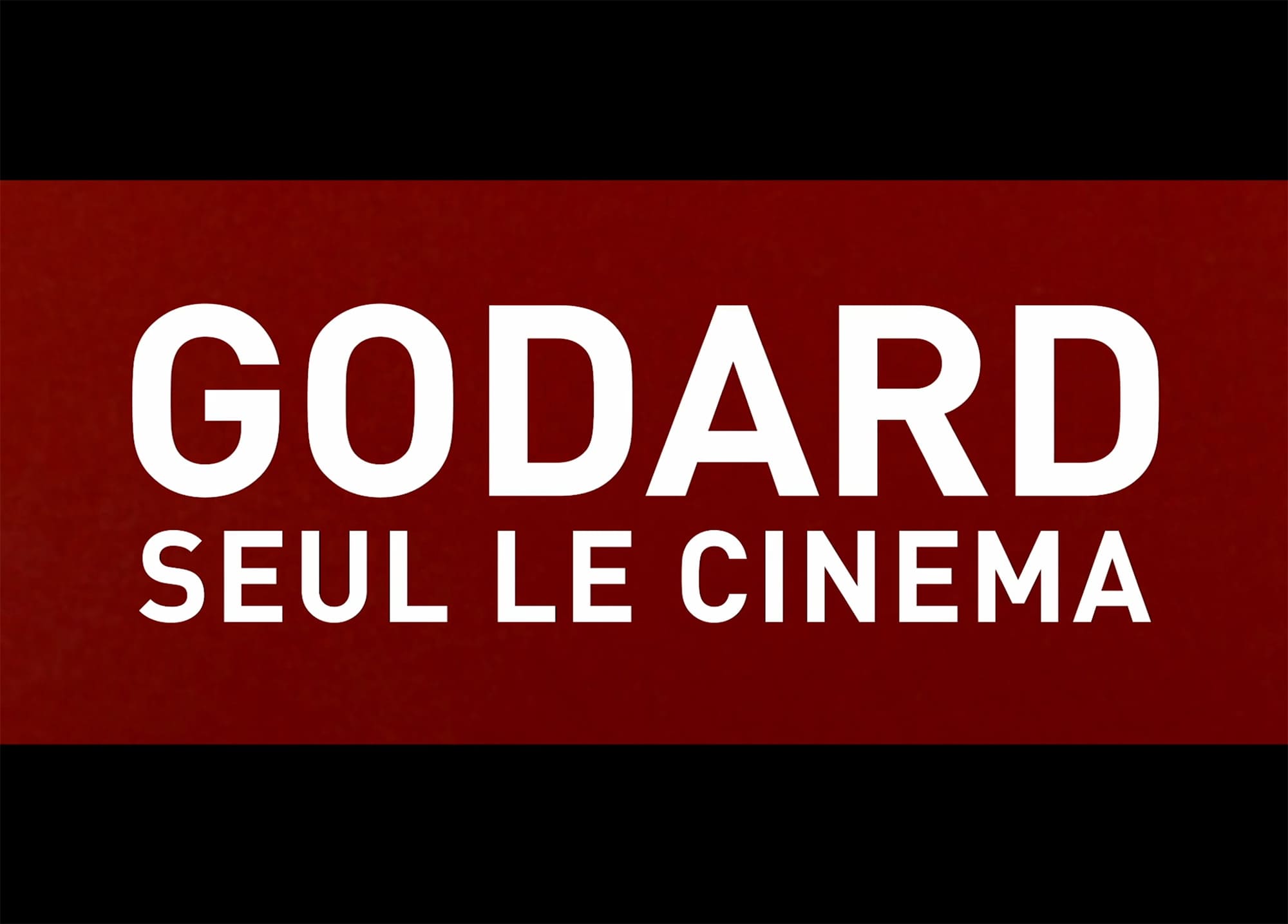 ジャン=リュック・ゴダール 反逆の映画作家(シネアスト) Godard Seul Le Cinema