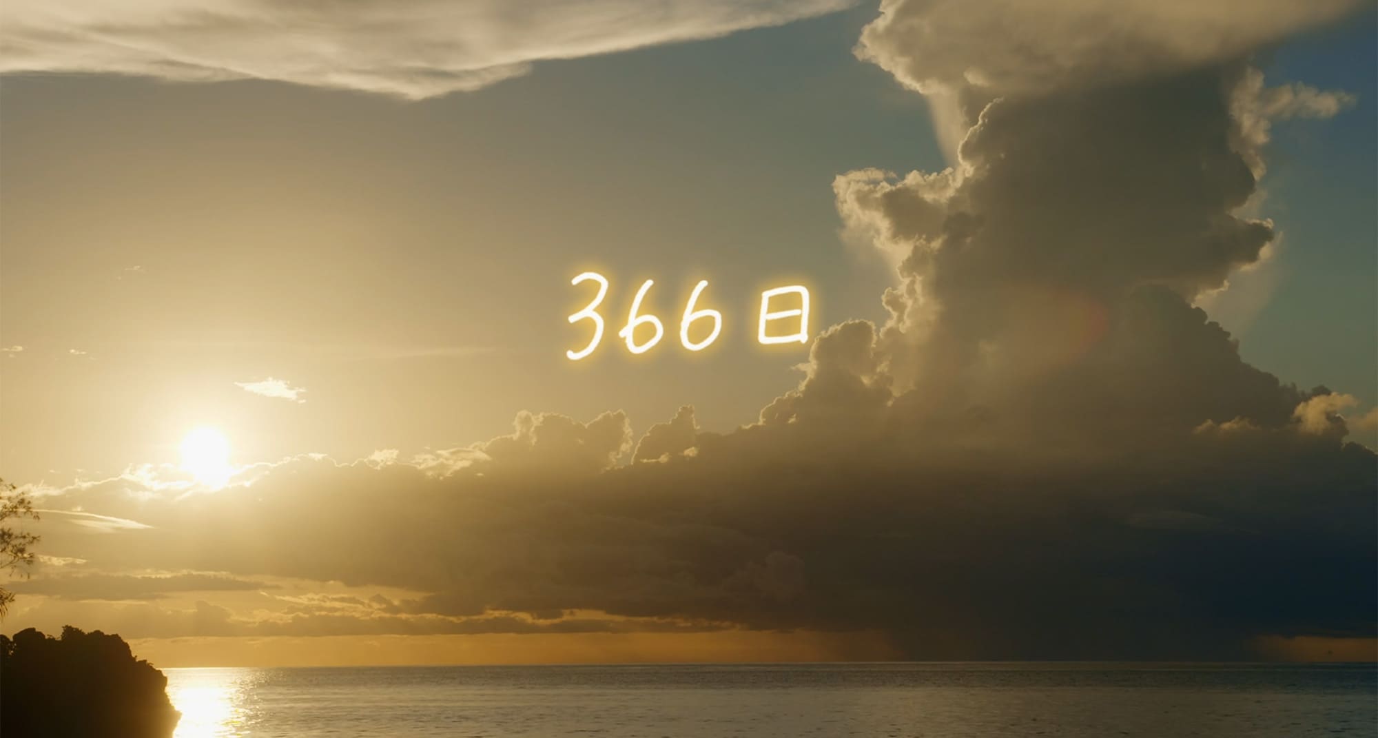 366日
