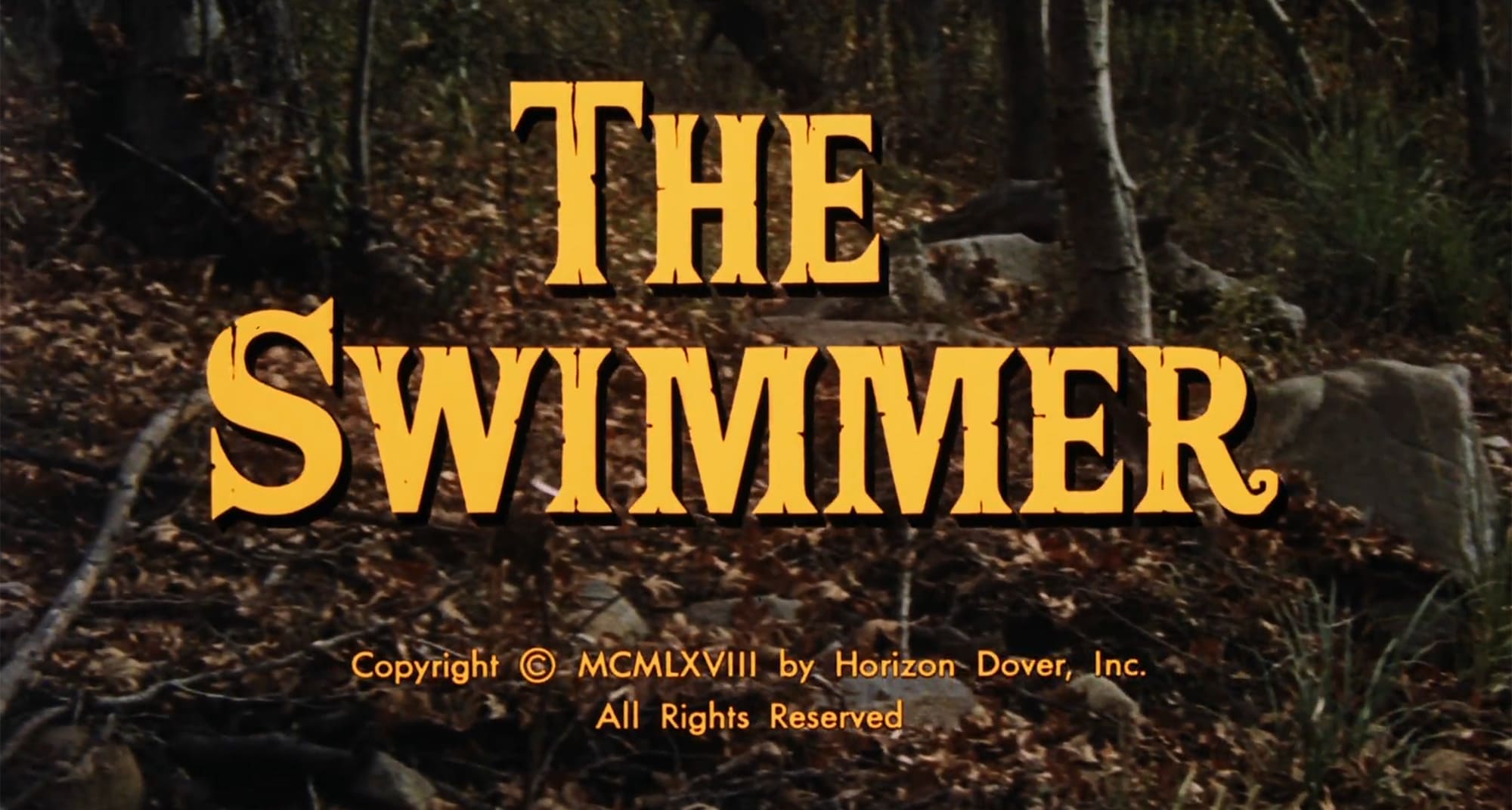 泳ぐひと The Swimmer