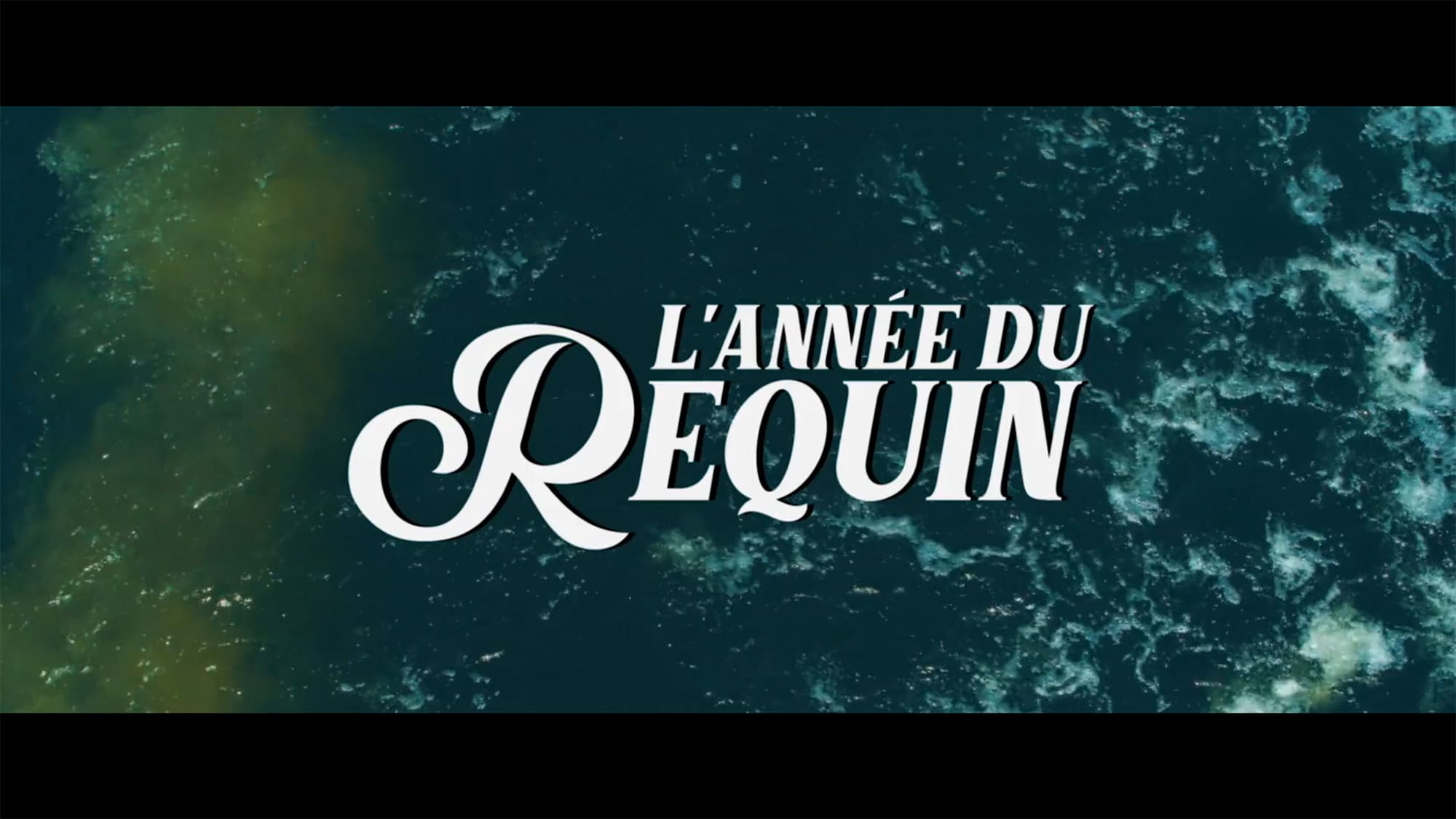 シャーク・ド・フランス L’annee du Requin