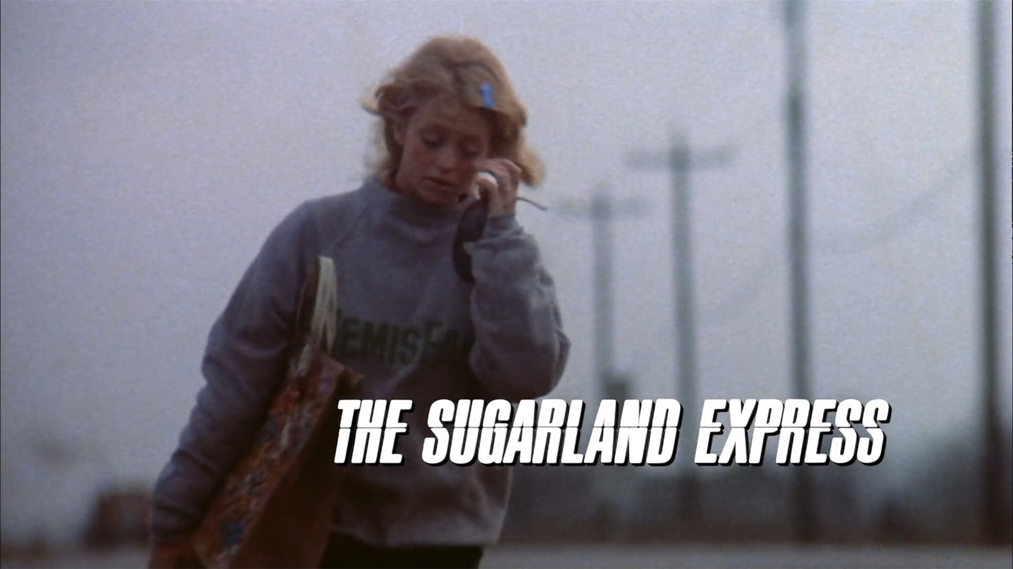 続・激突！ カージャック The Sugarland Express