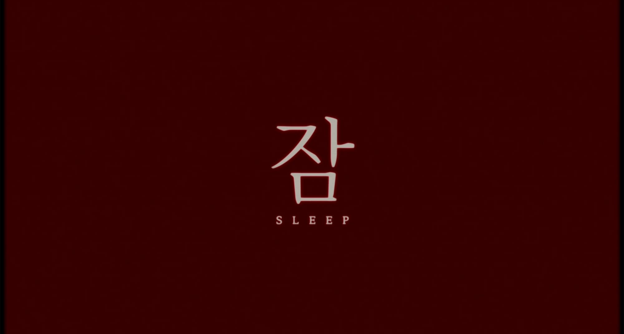スリープ 잠 Sleep