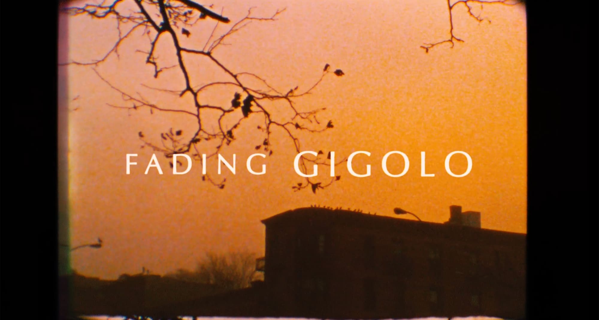 ジゴロ・イン・ニューヨーク Fading Gigolo