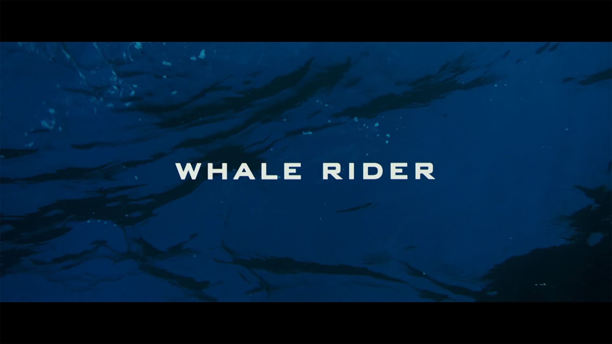 クジラの島の少女 Whale Rider