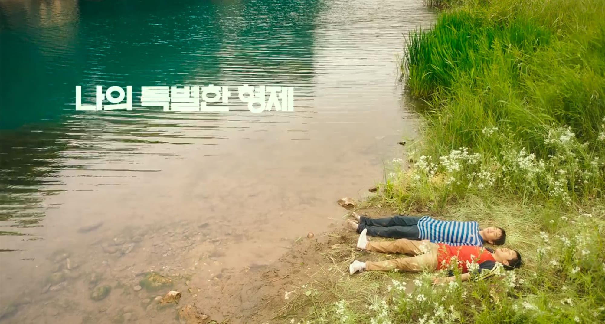 僕の特別な兄弟 나의 특별한 형제  Inseparable Bros