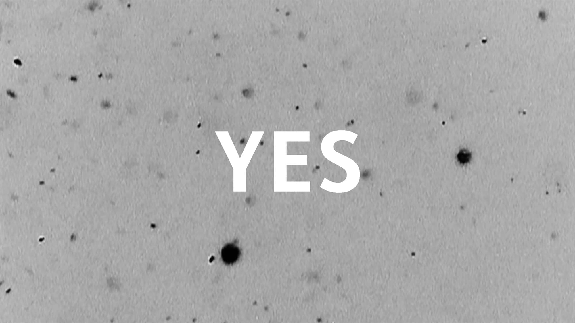 愛をつづる詩(うた) Yes