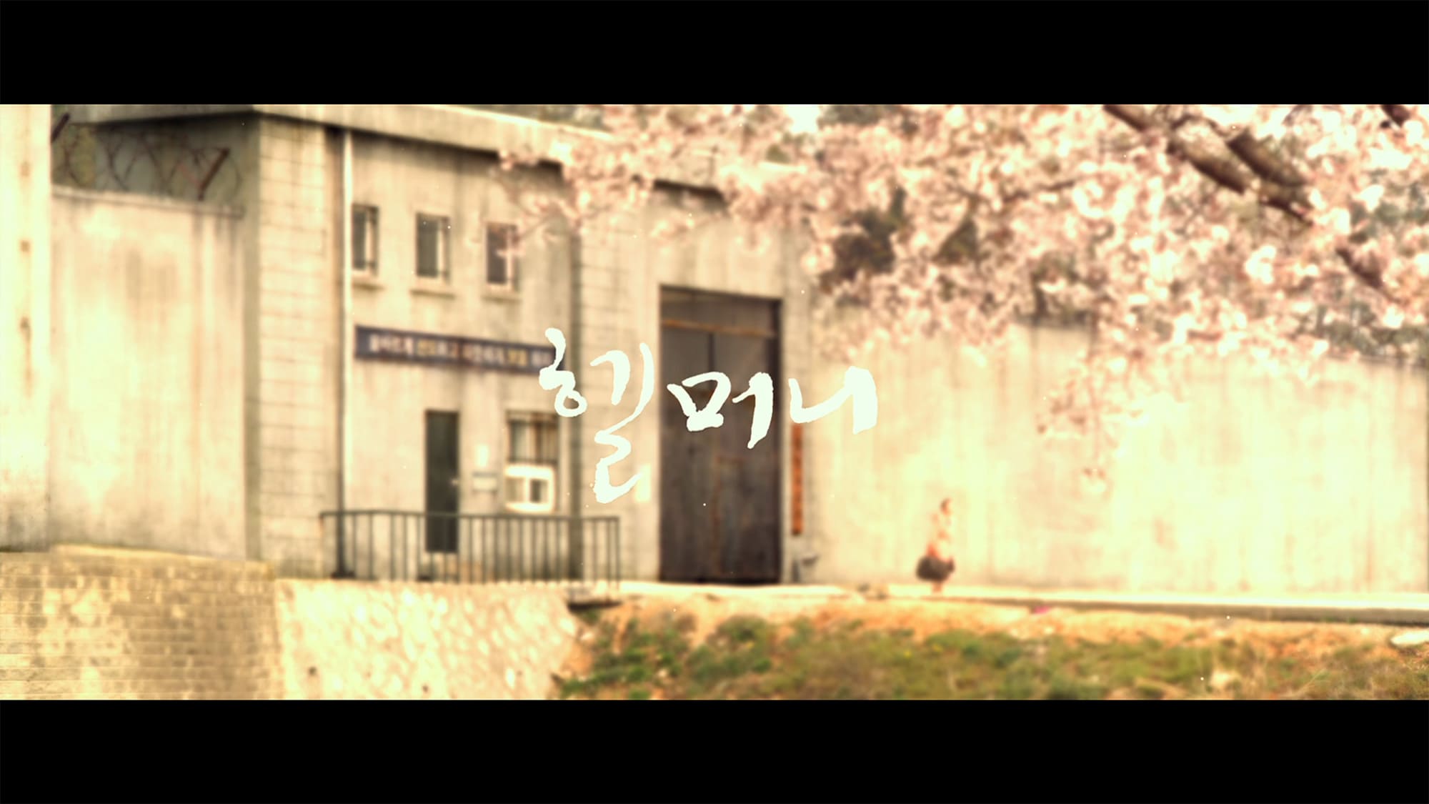 ヘルモニ 地獄からのおばあさん 헬머니 Granny’s Got Talent