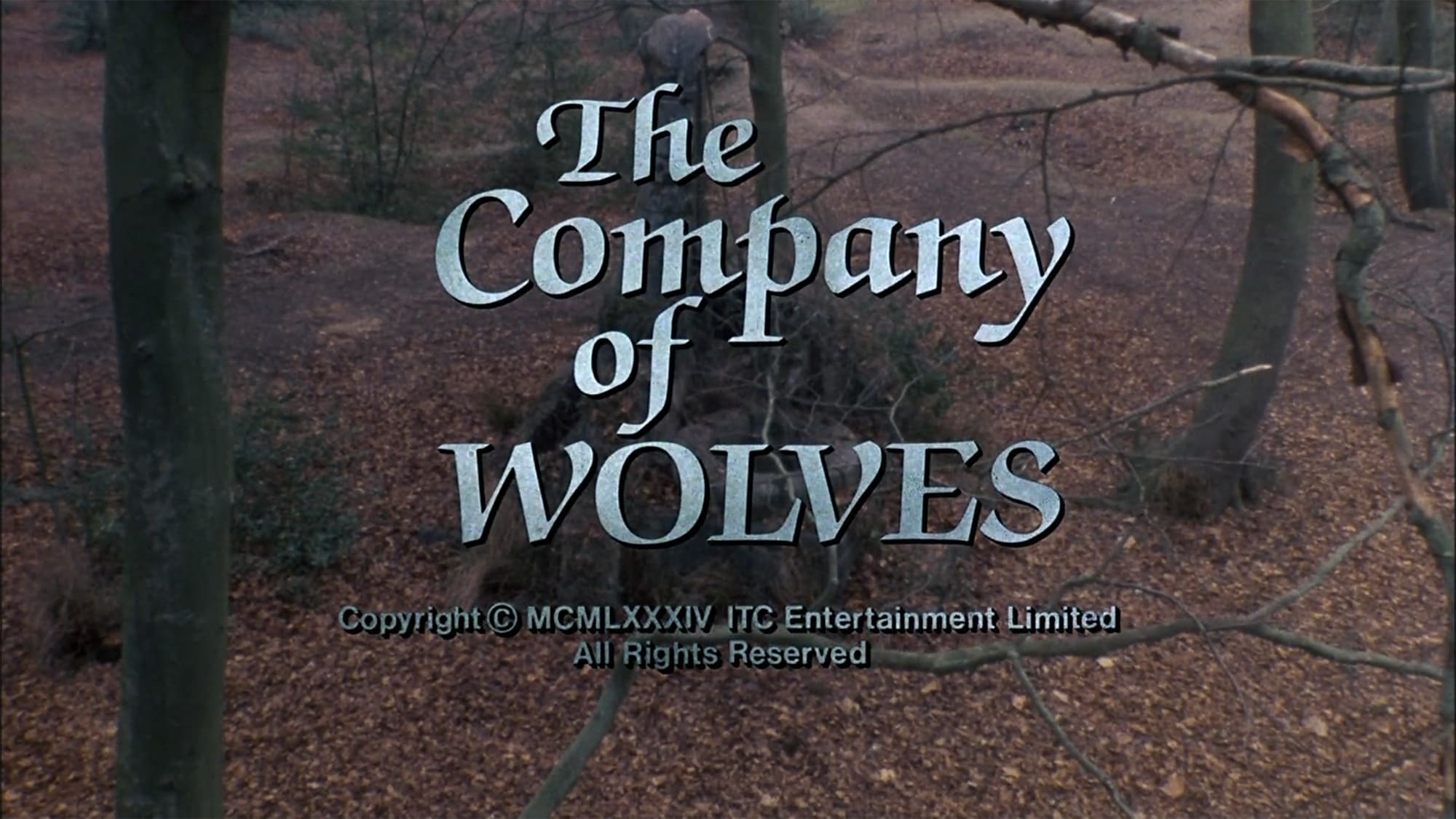 狼の血族 The Company of Wolves