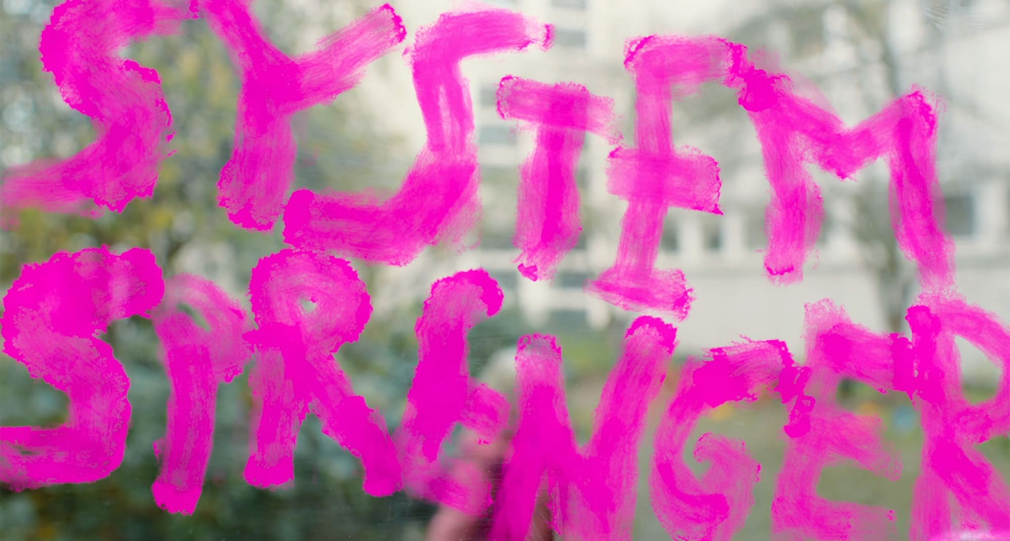 システム・クラッシャー Systemsprenger