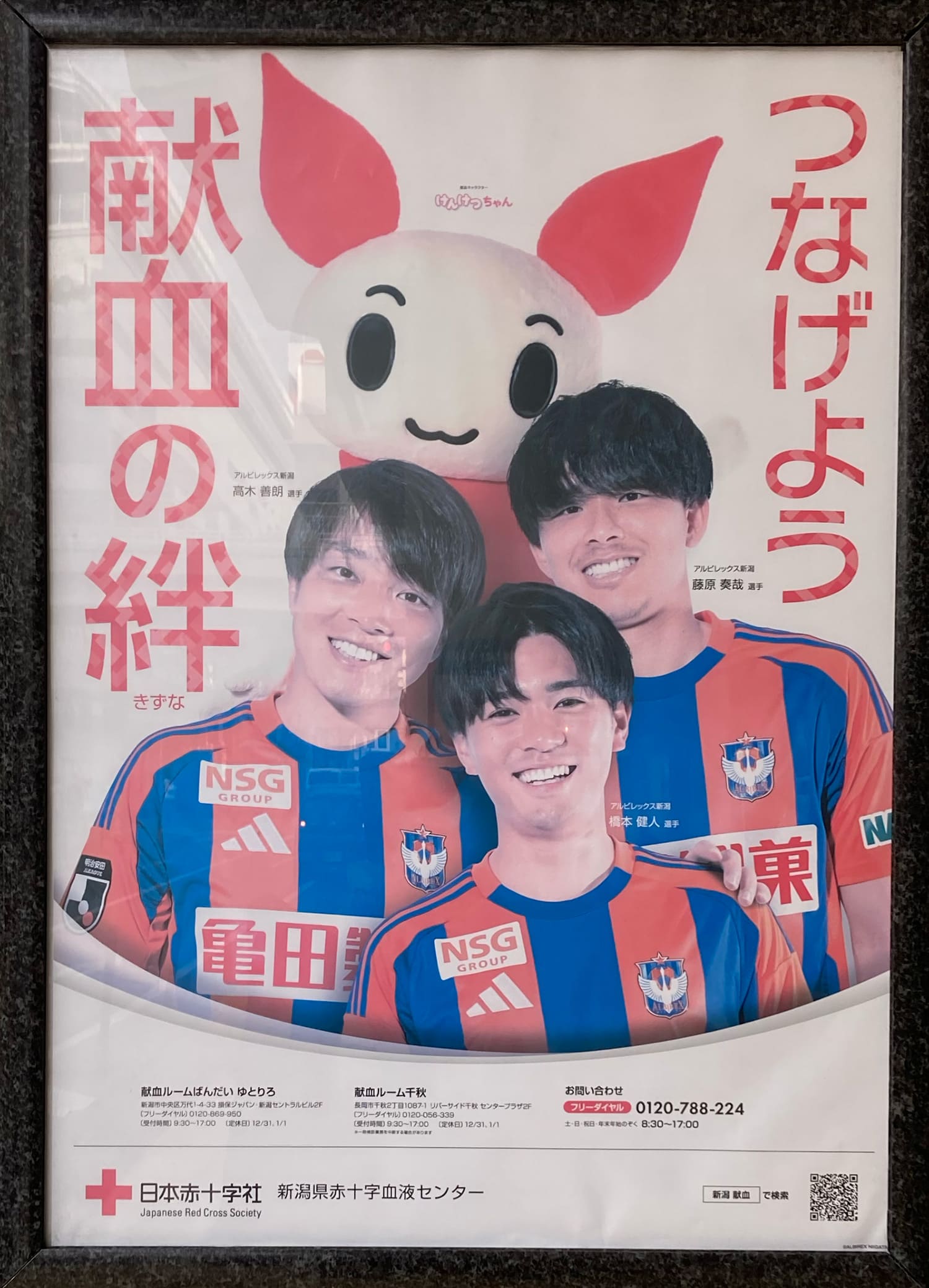 高木義朗・橋本健人・藤原奏哉 日本赤十字社
