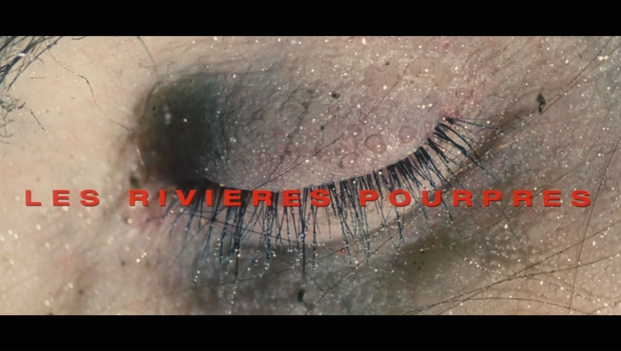 クリムゾン・リバー Les Rivieres Pourpres