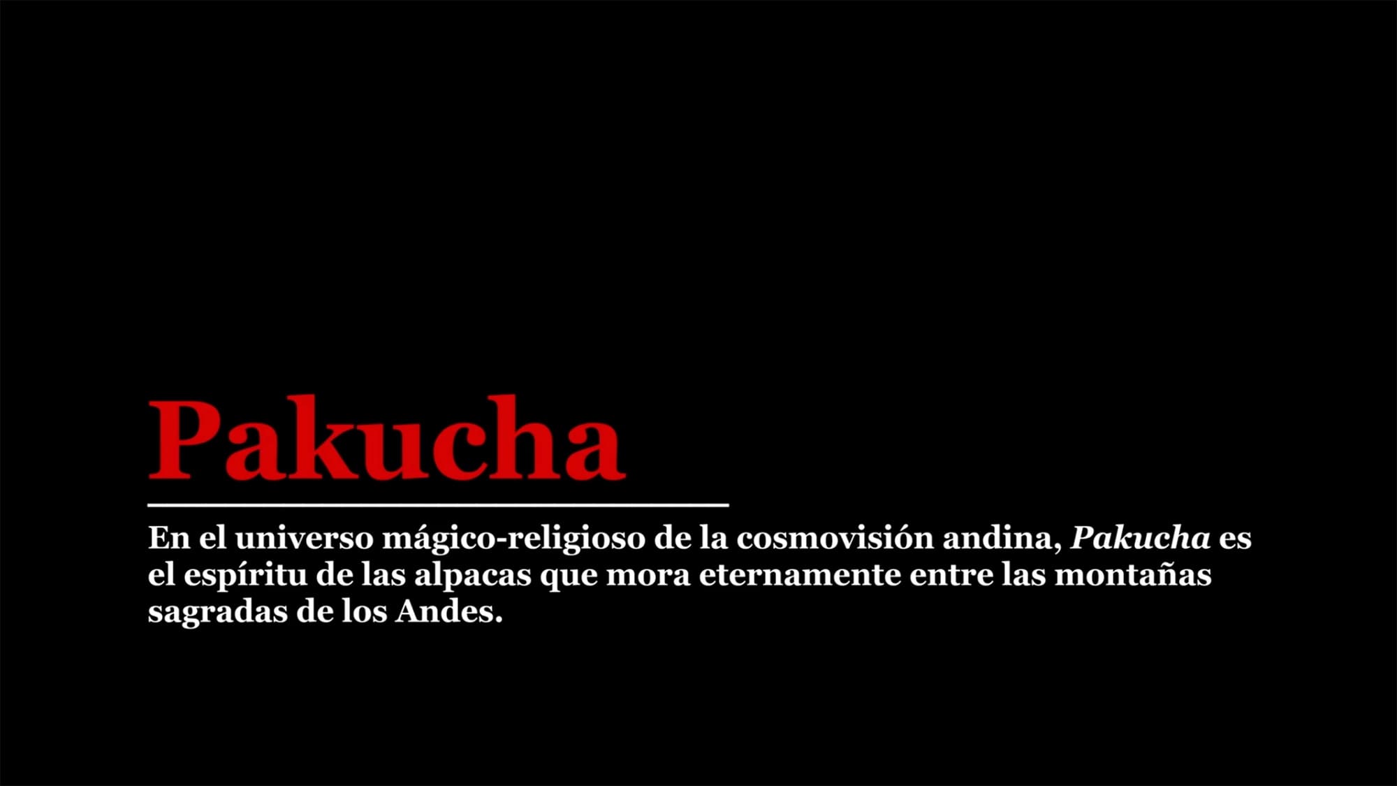 アルパカと生きる喜び Pakucha