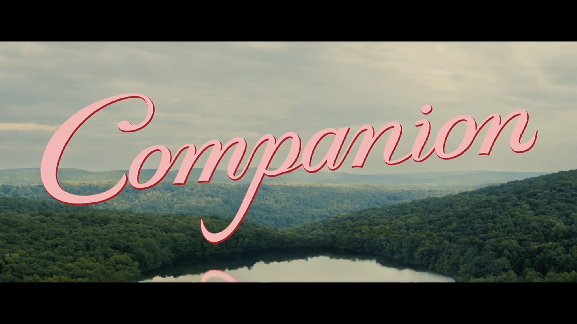 コンパニオン Companion