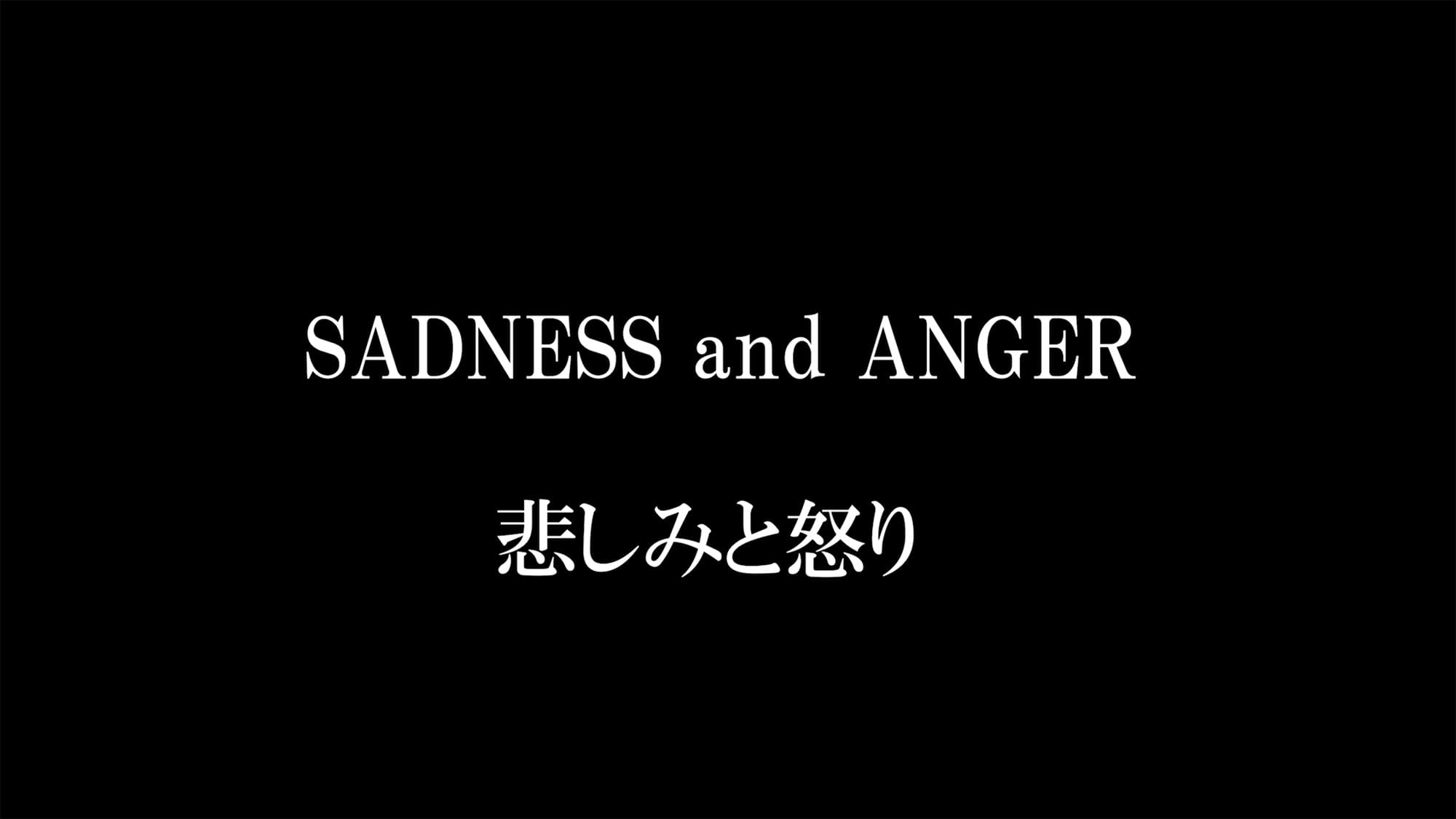悲しみと怒り Sadness and Anger