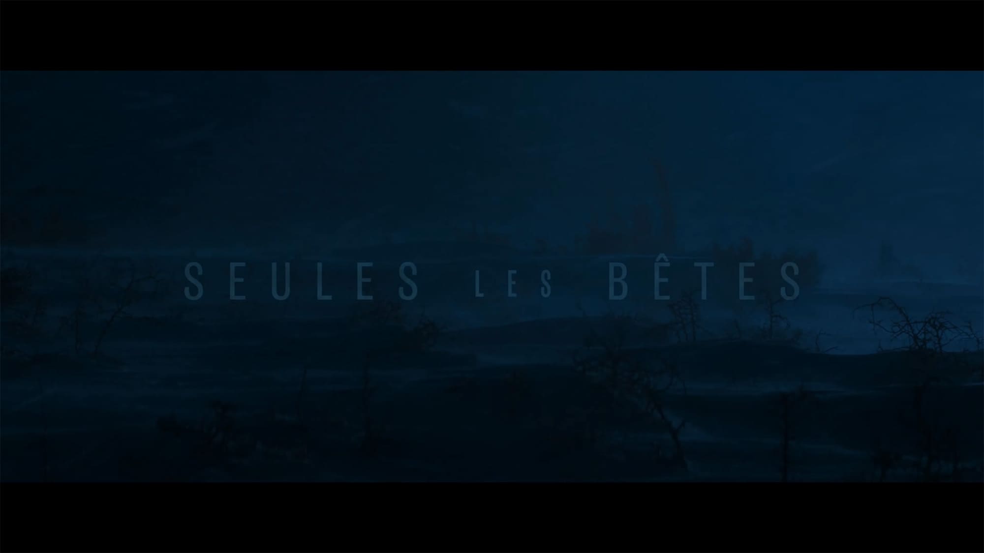 悪なき殺人 Seules Les Betes