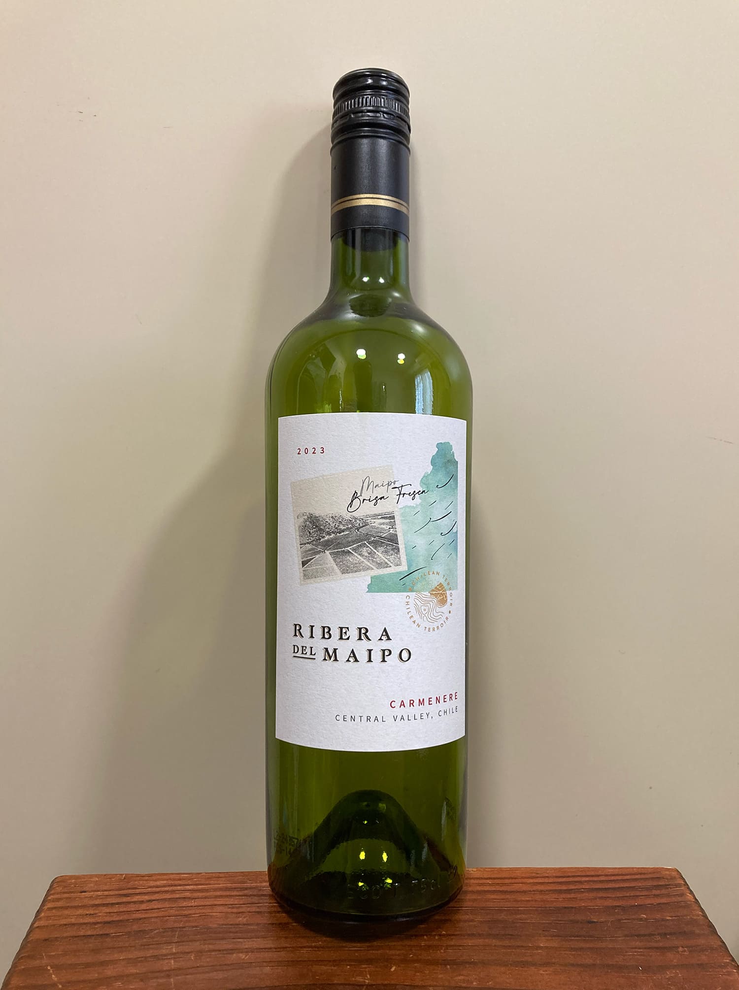 Viña Tornasol Ribera del Maipo Carmenere